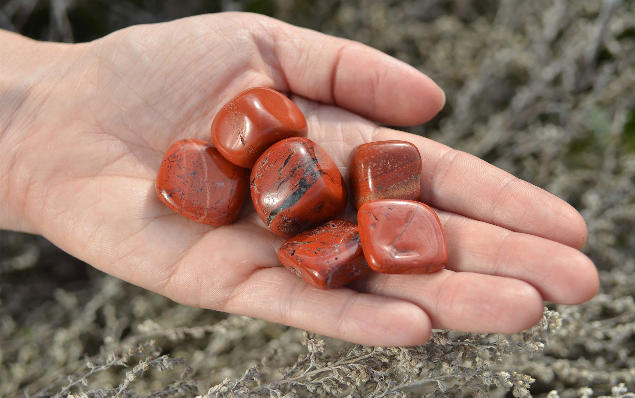 Close-up of a polished Jasper stone with rich earthy tones and intricate patterns