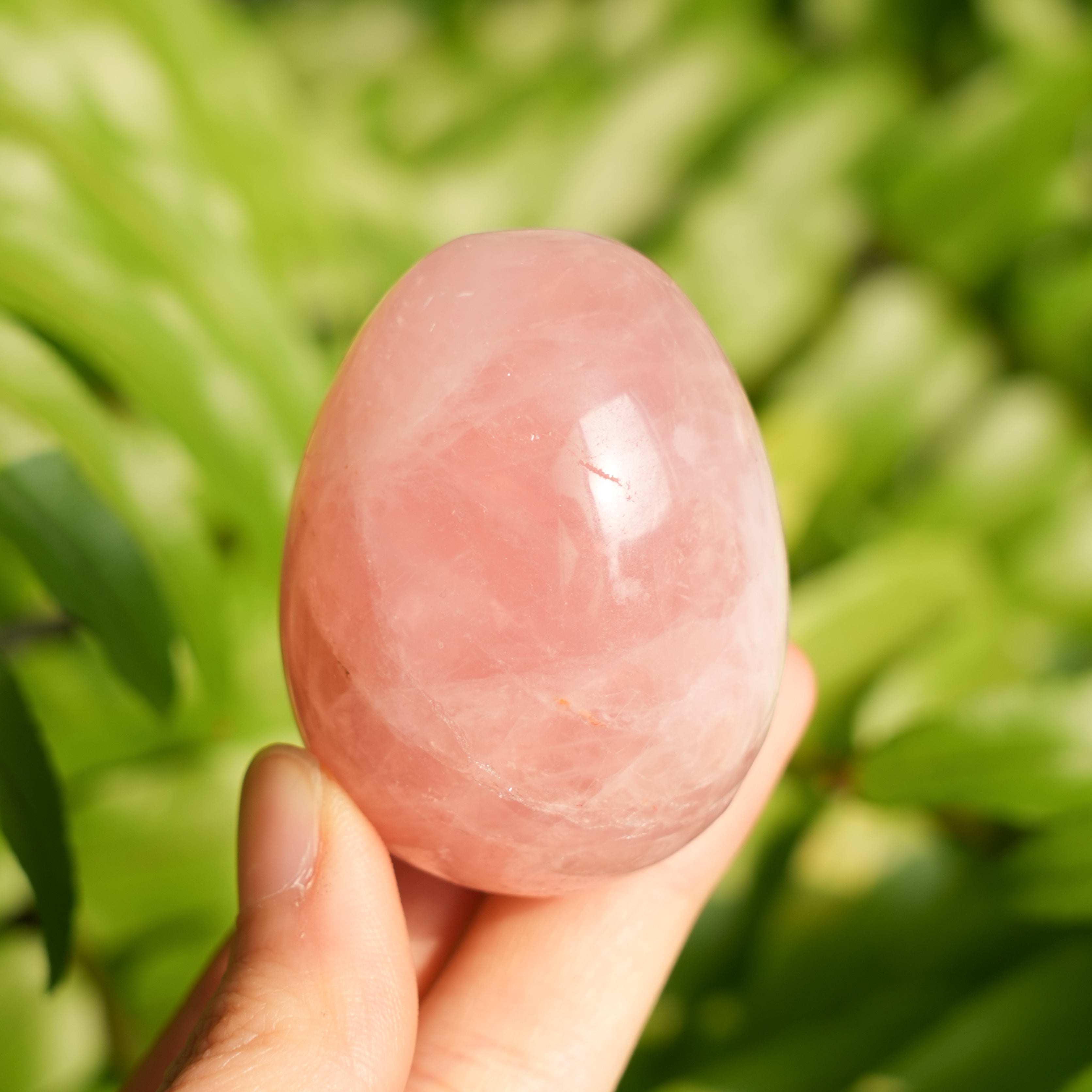 Rose Quartz Egg