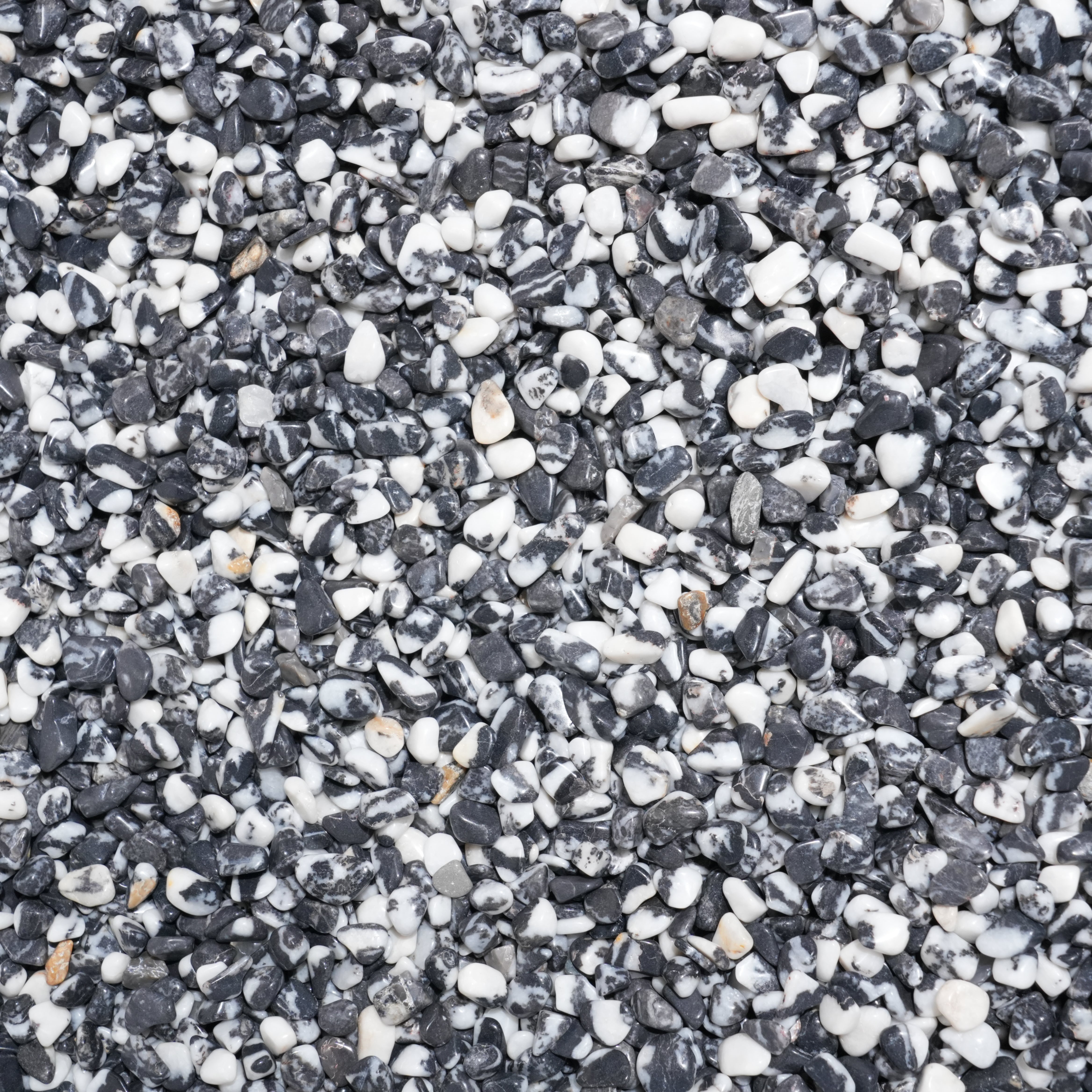 Black And White Zebra Jasper Chips