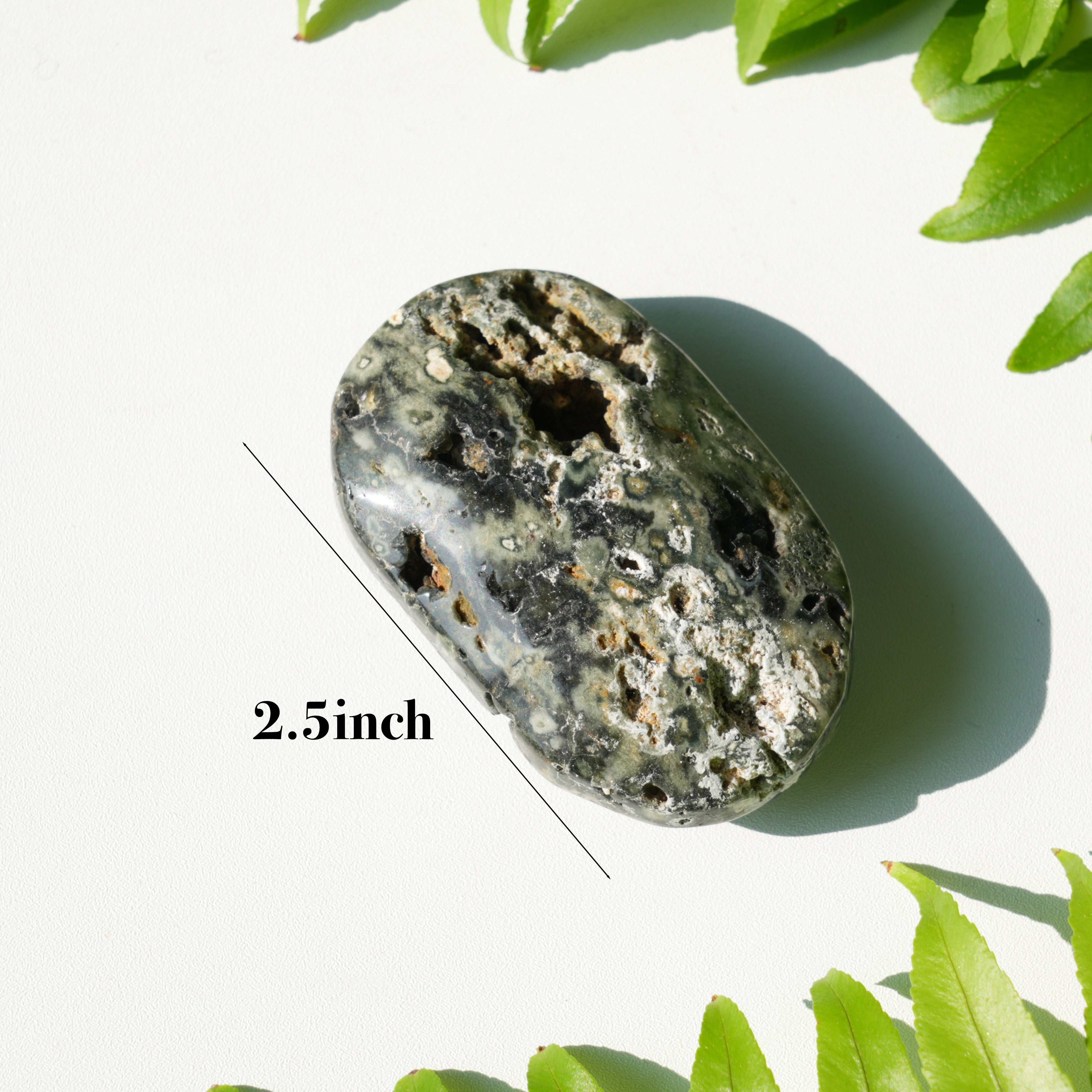 Ocean Jasper Palmstone