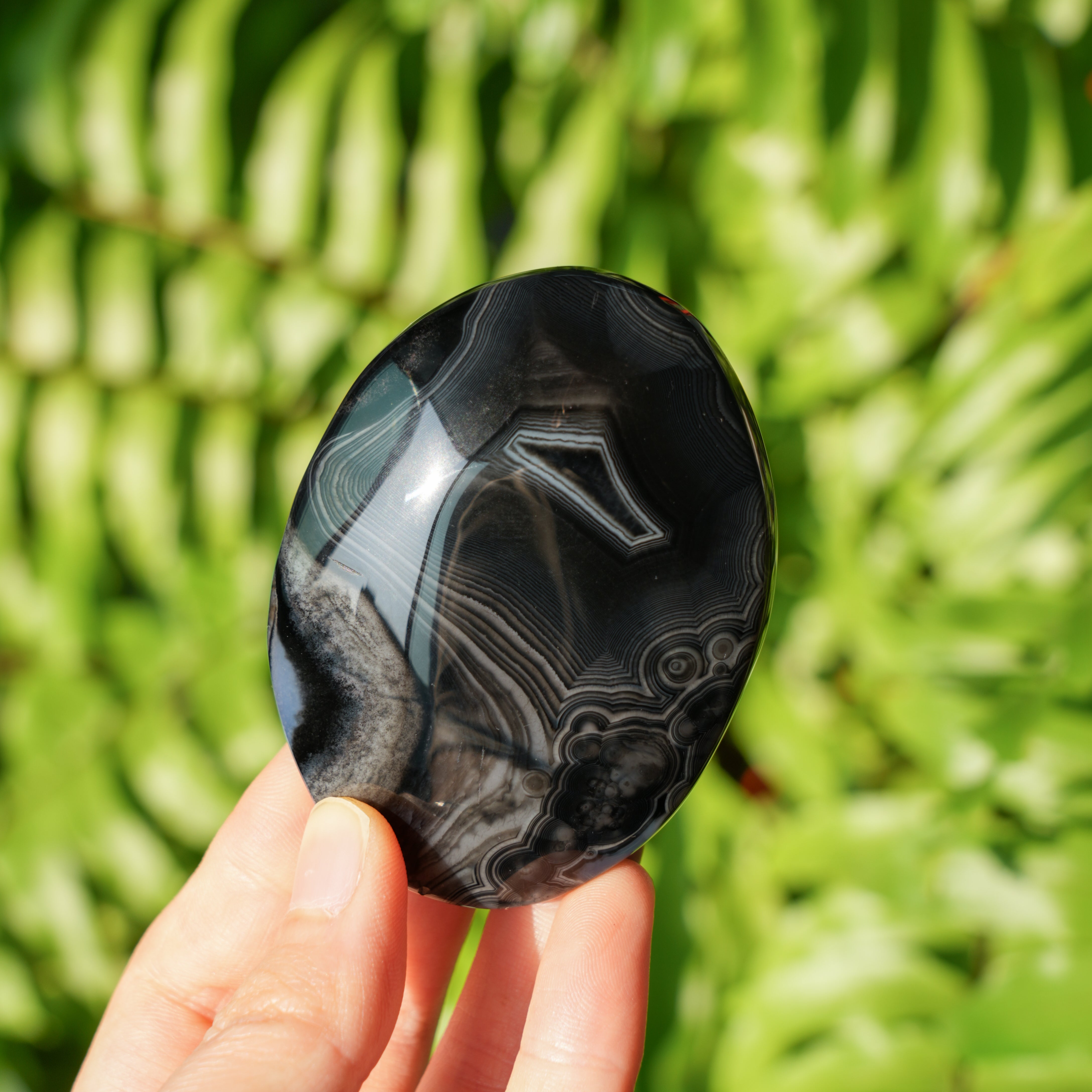 Black Sardonyx Palmstone