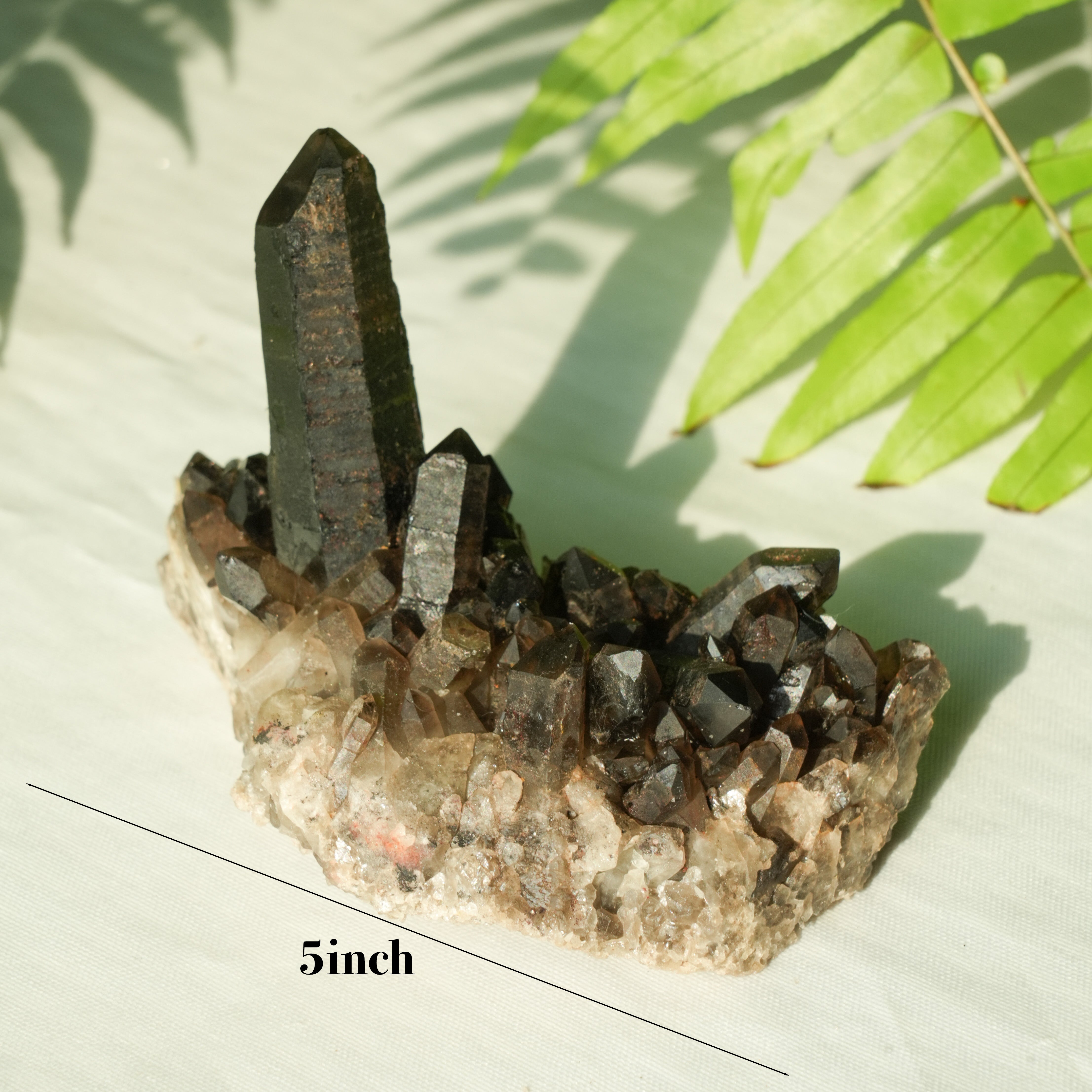 Smoky Quartz Cluster