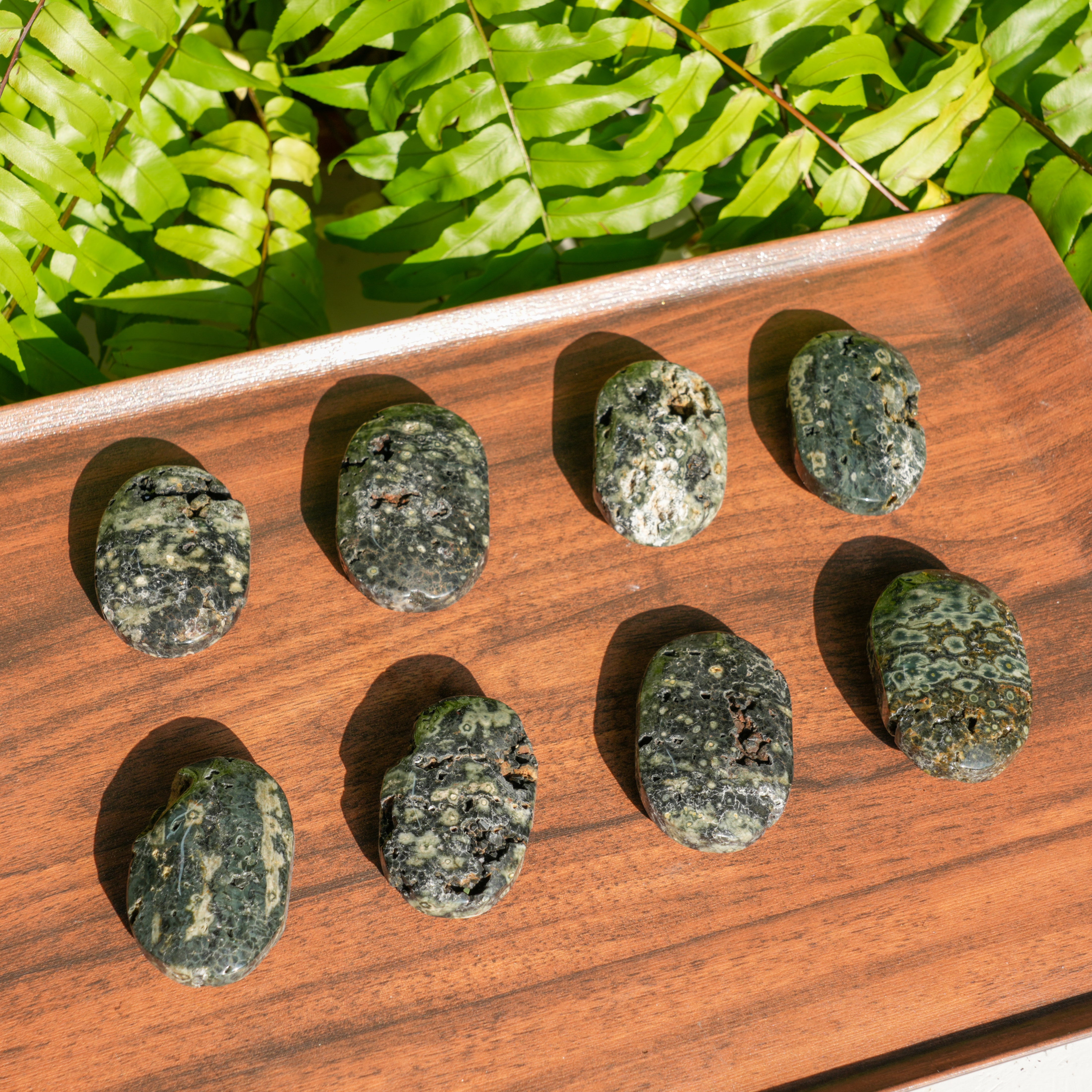 Ocean Jasper Palmstone