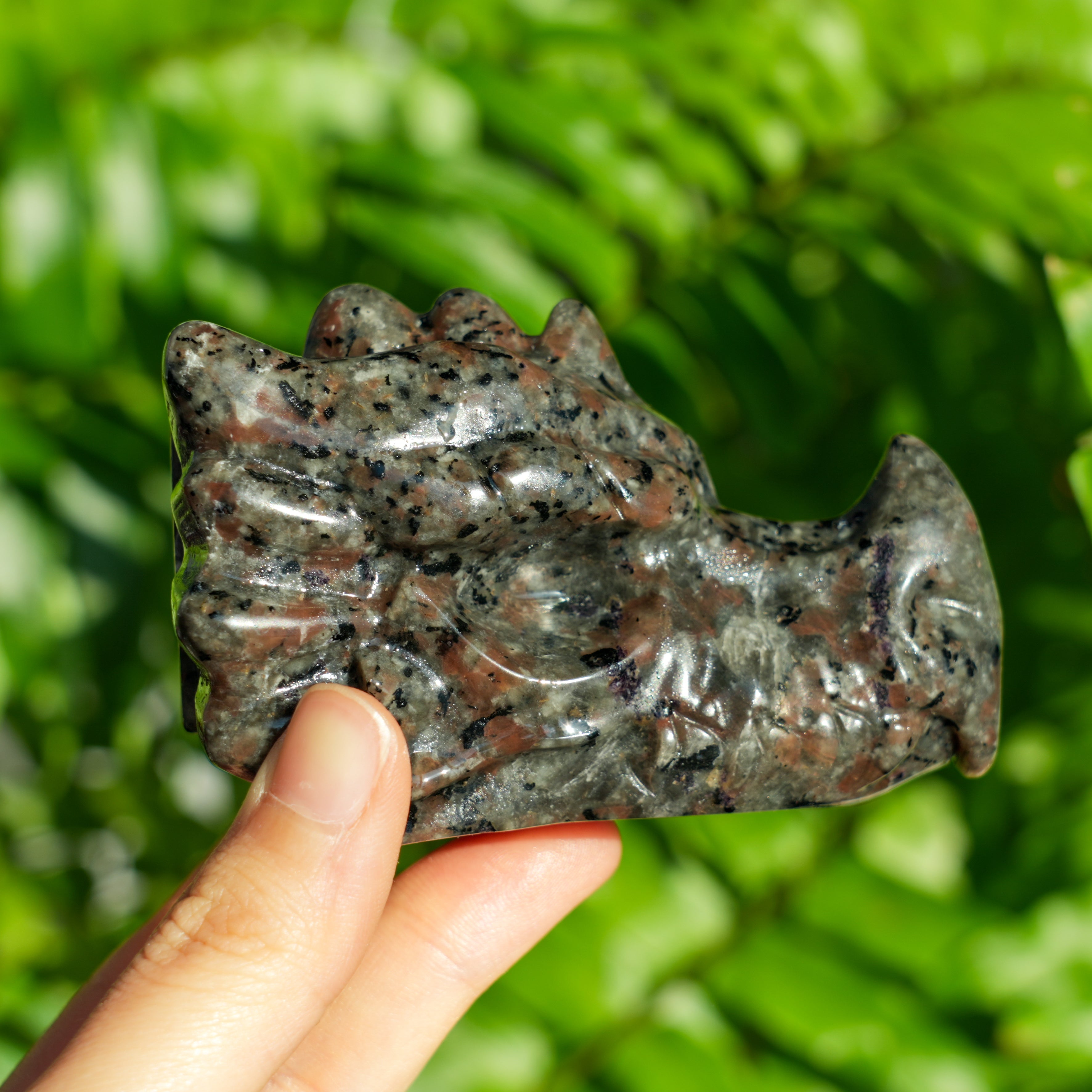 Yooperlite Dragon Head