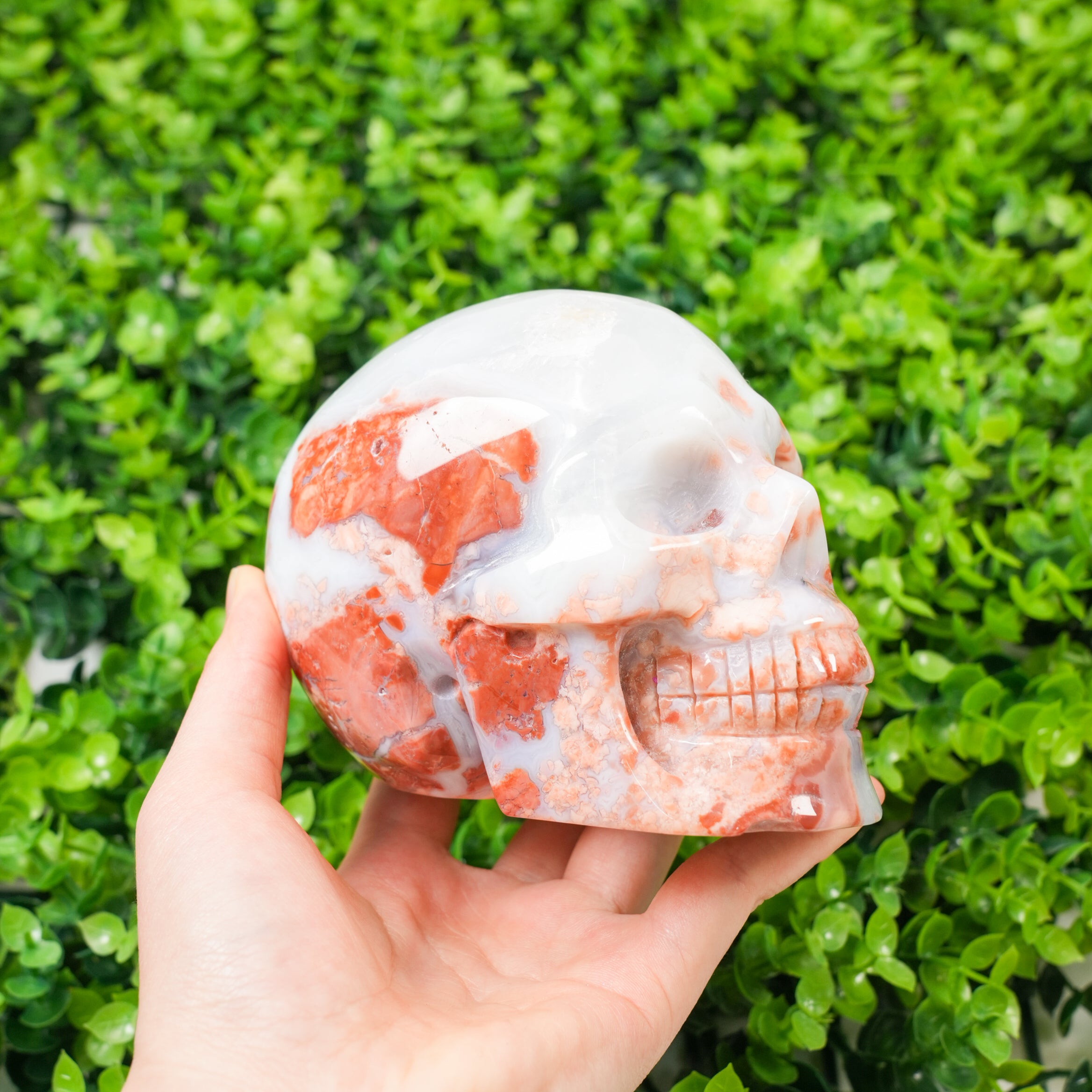 Hand-Carved Flower Agate Skull Large Natural Pink Flower Agate Crystal Sculpture, Healing Stone Skull for Feminine Energy, Aesthetic Home Decor, Unique Spiritual Gift