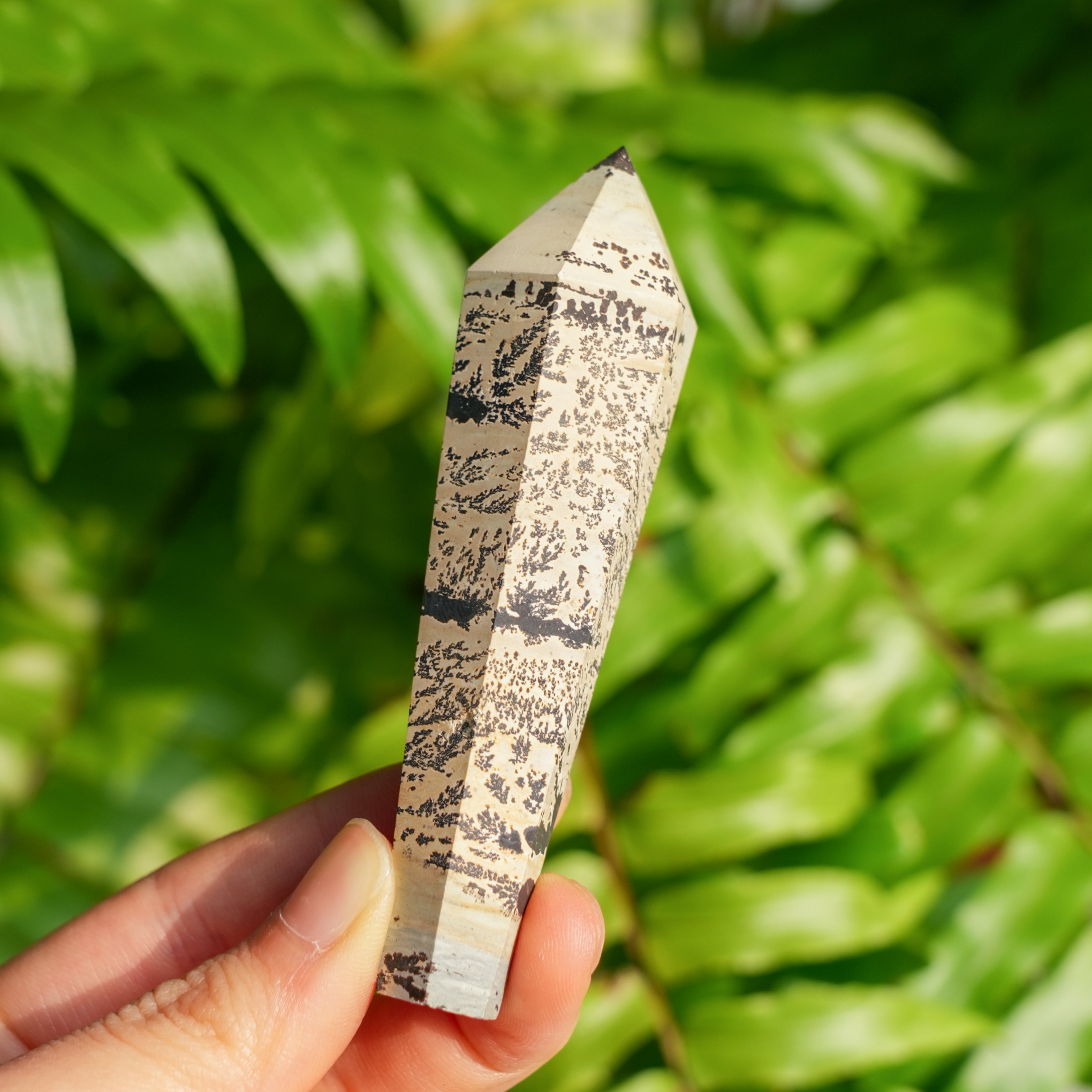 Picture Jasper Wand