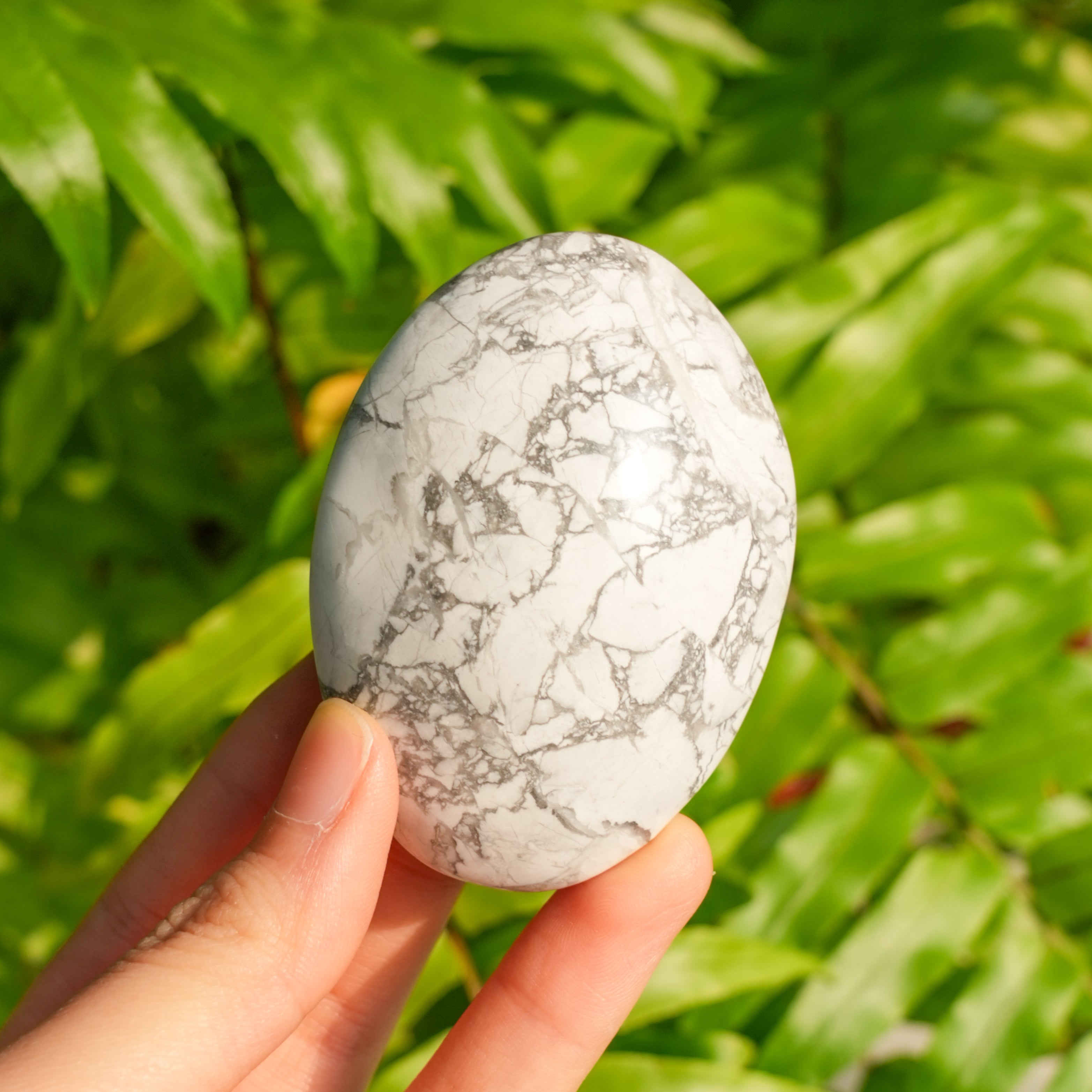 Howlite Palmstone