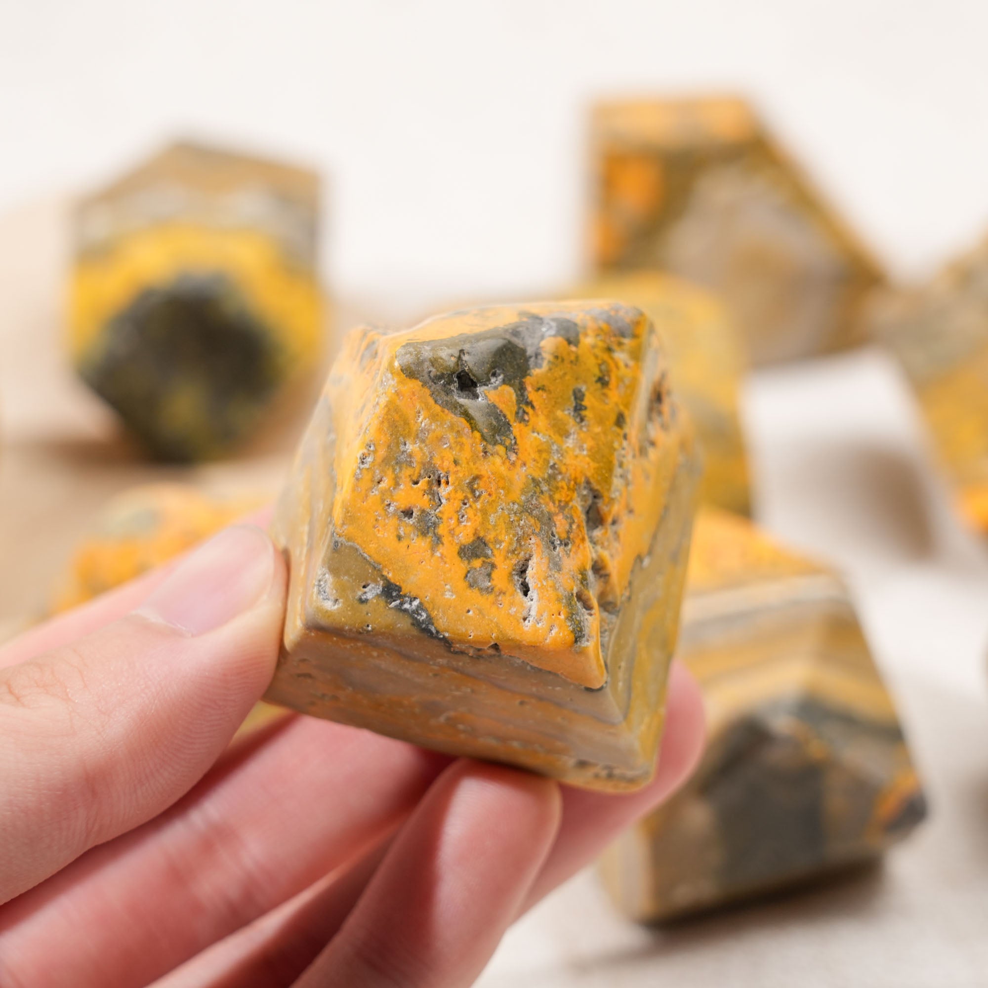 Bumblebee Jasper Freeform