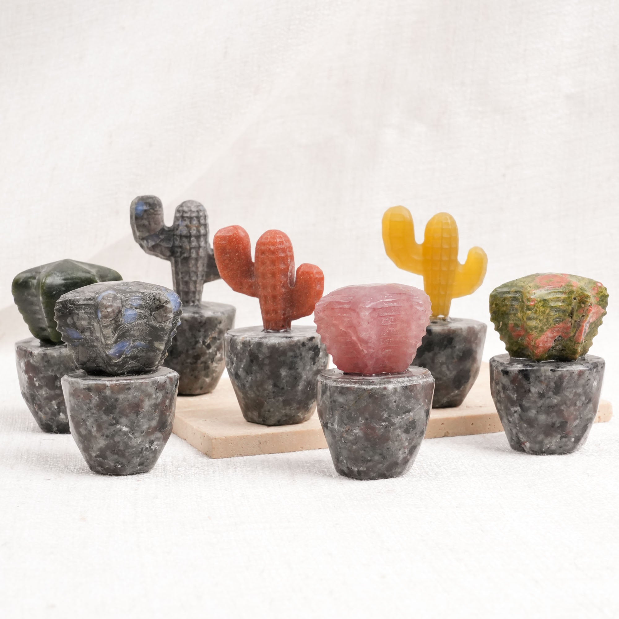 Yooperlite Dragon Cactus