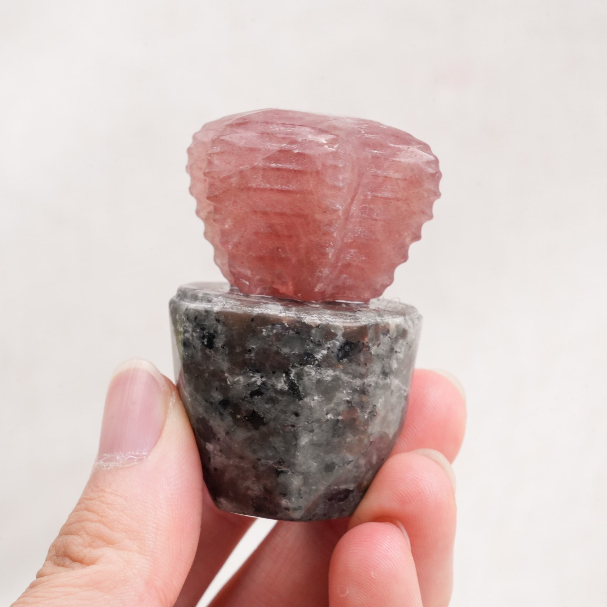 Yooperlite Dragon Cactus