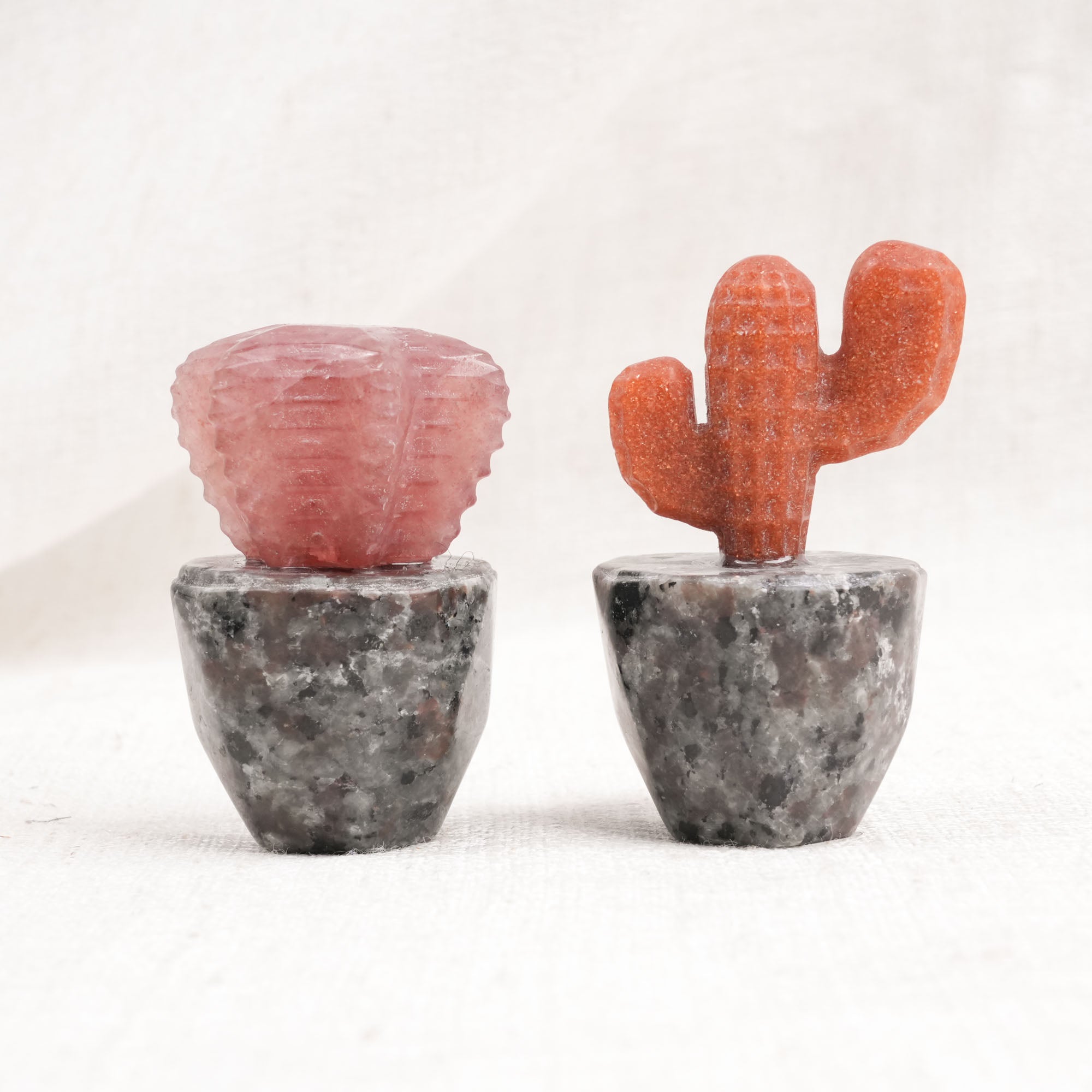 Yooperlite Dragon Cactus