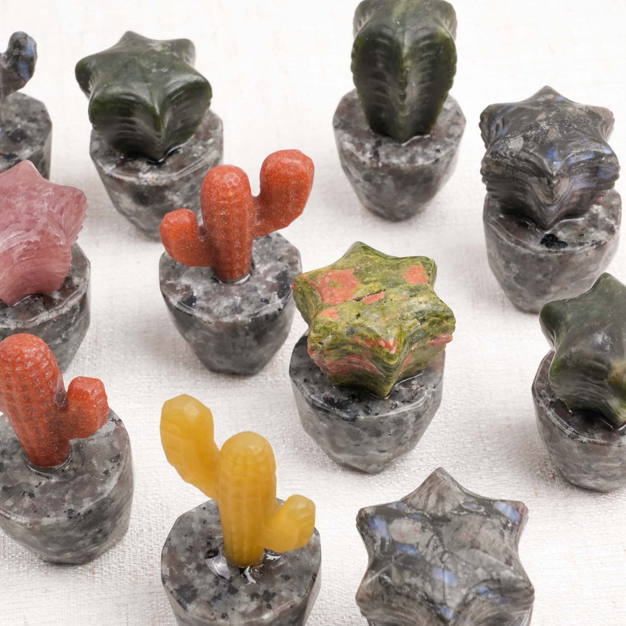 Yooperlite Dragon Cactus