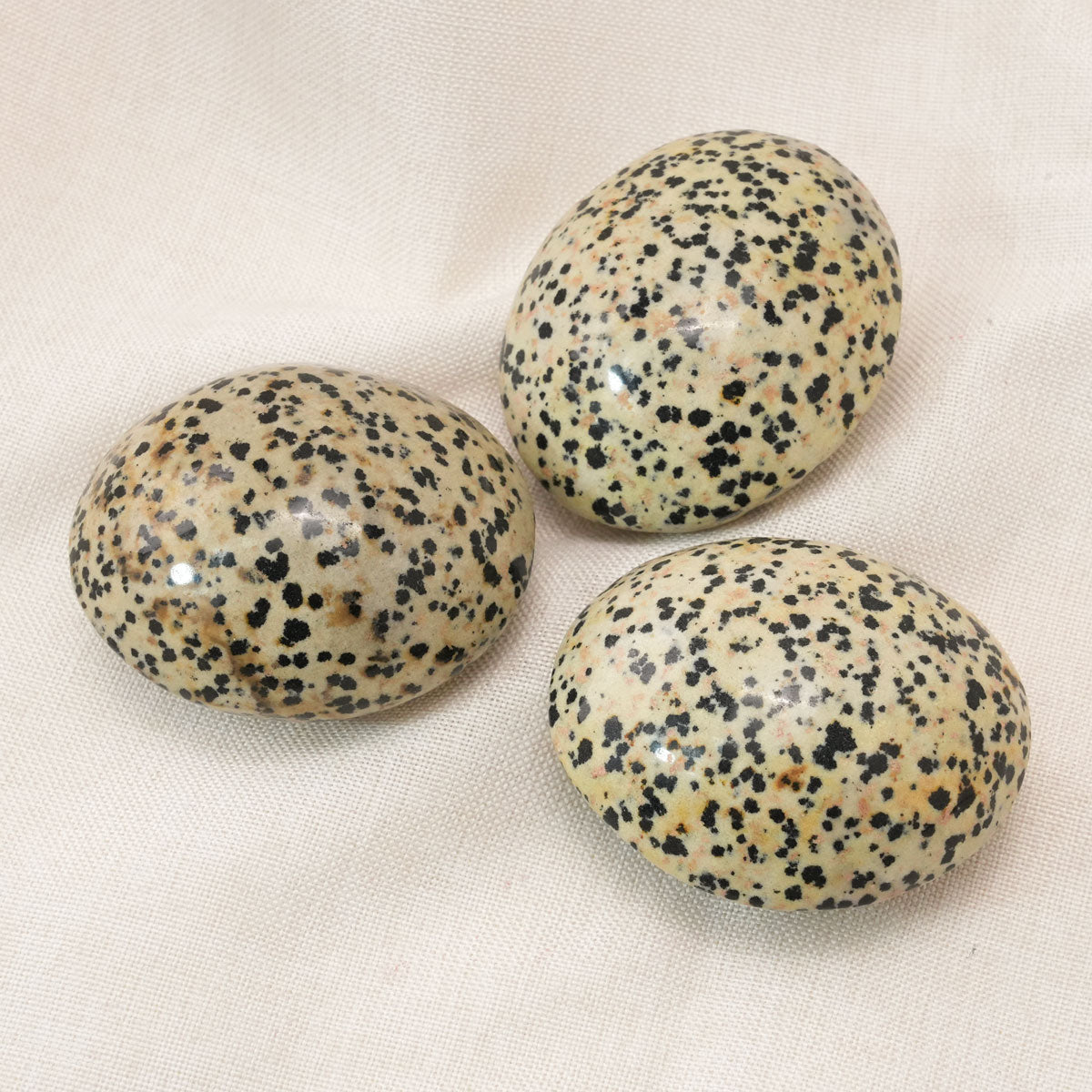 Protective Dalmatian Jasper Palm Stone crystal for positive energy.