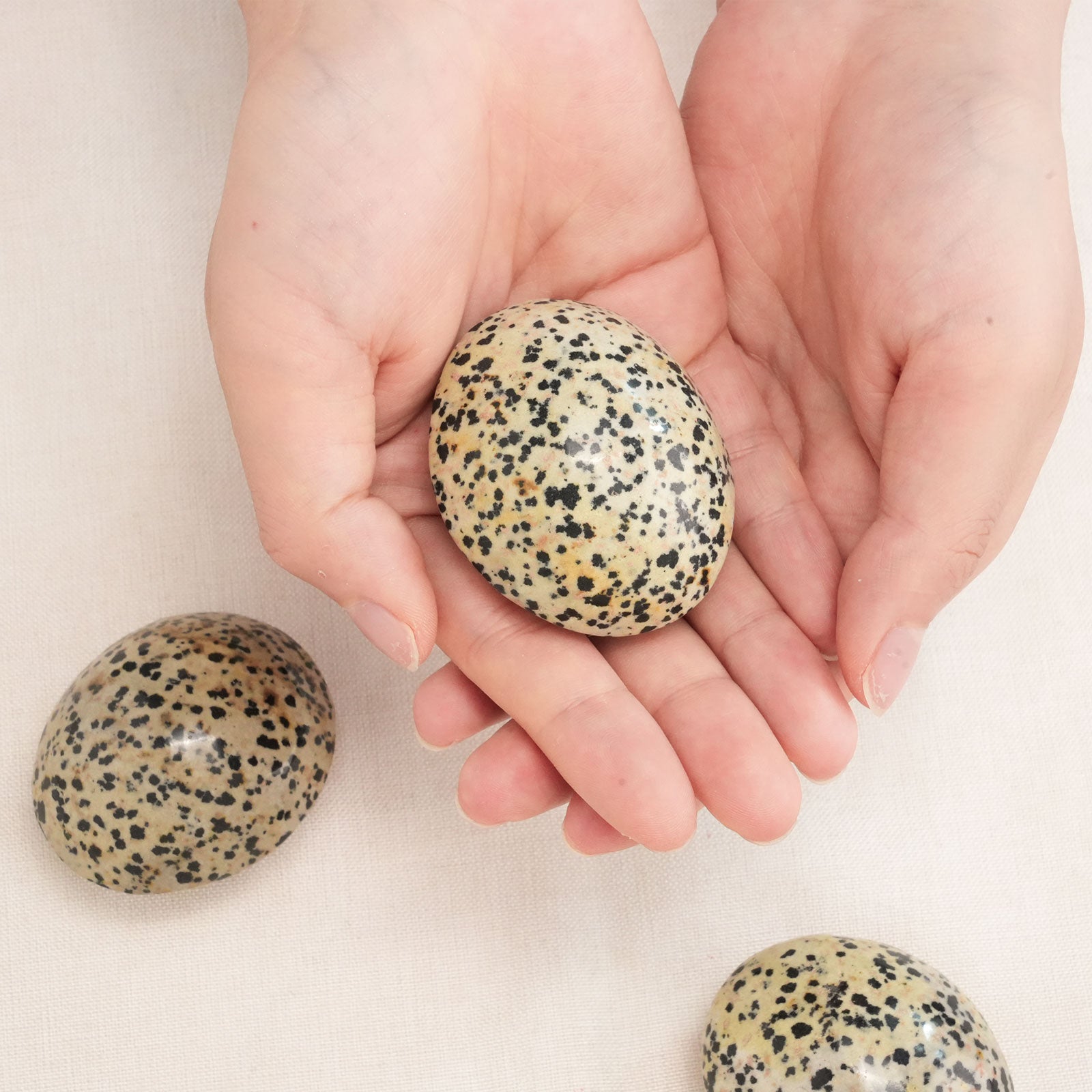 Natural Dalmatian Jasper Palm Stone for balancing energy and grounding.
