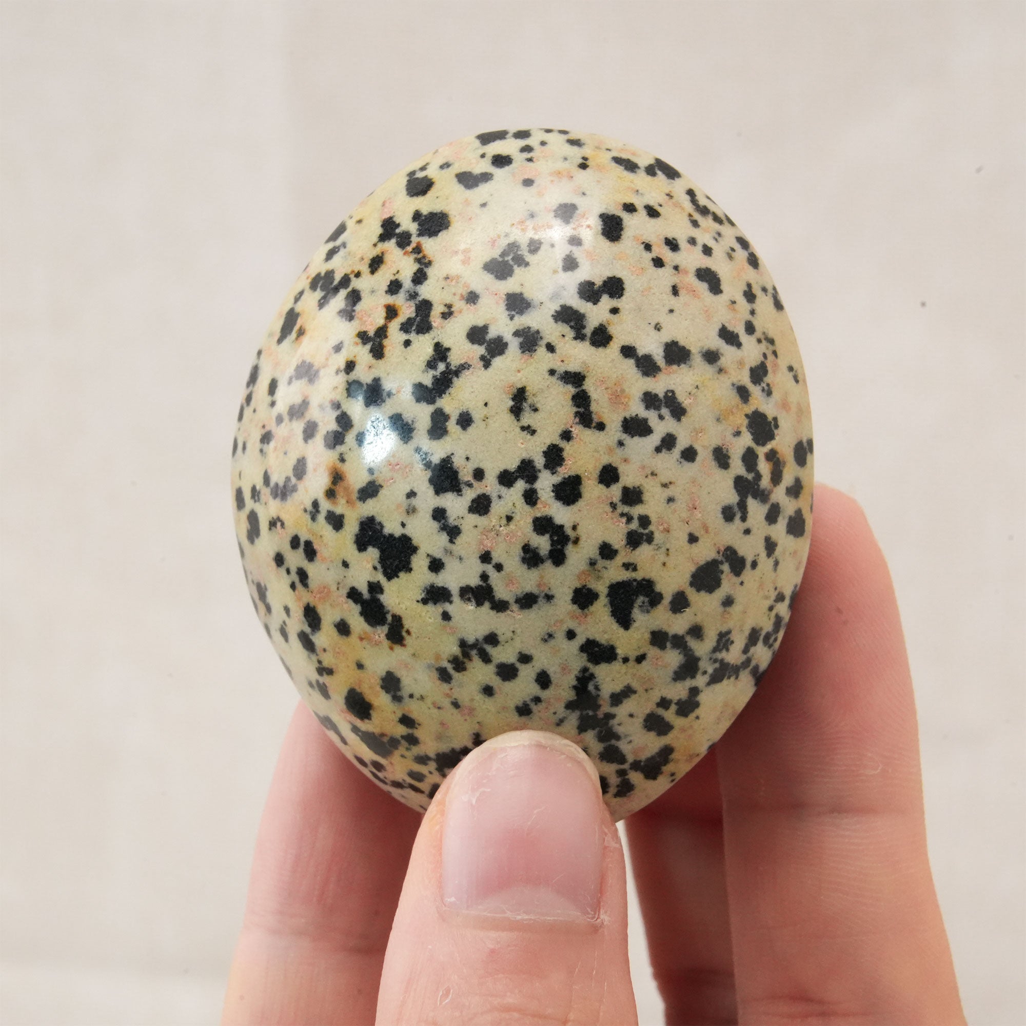 Dalmatian Jasper Palm Stone promoting spiritual growth and well-being.