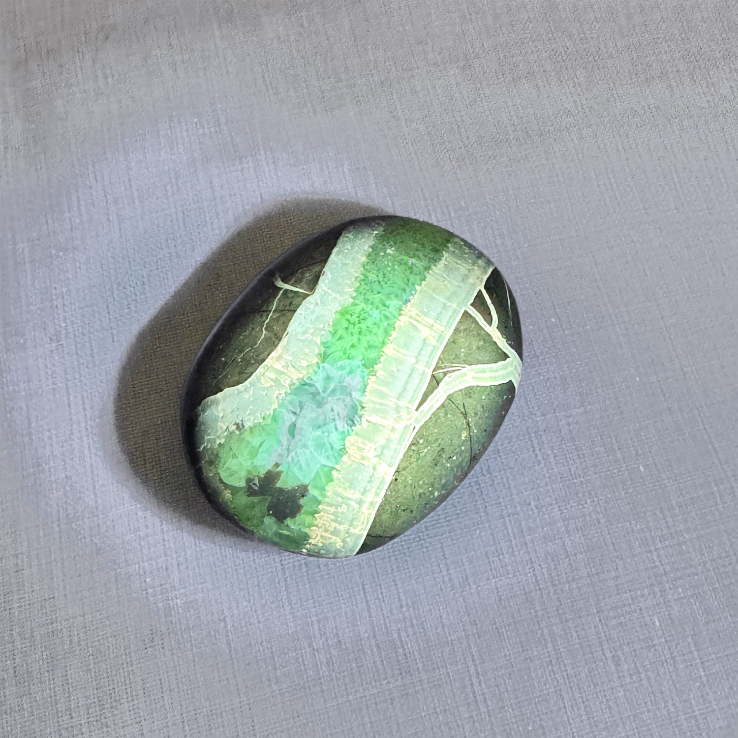 Septarium Palm Stone with intricate septarian patterns, perfect for grounding and emotional balance