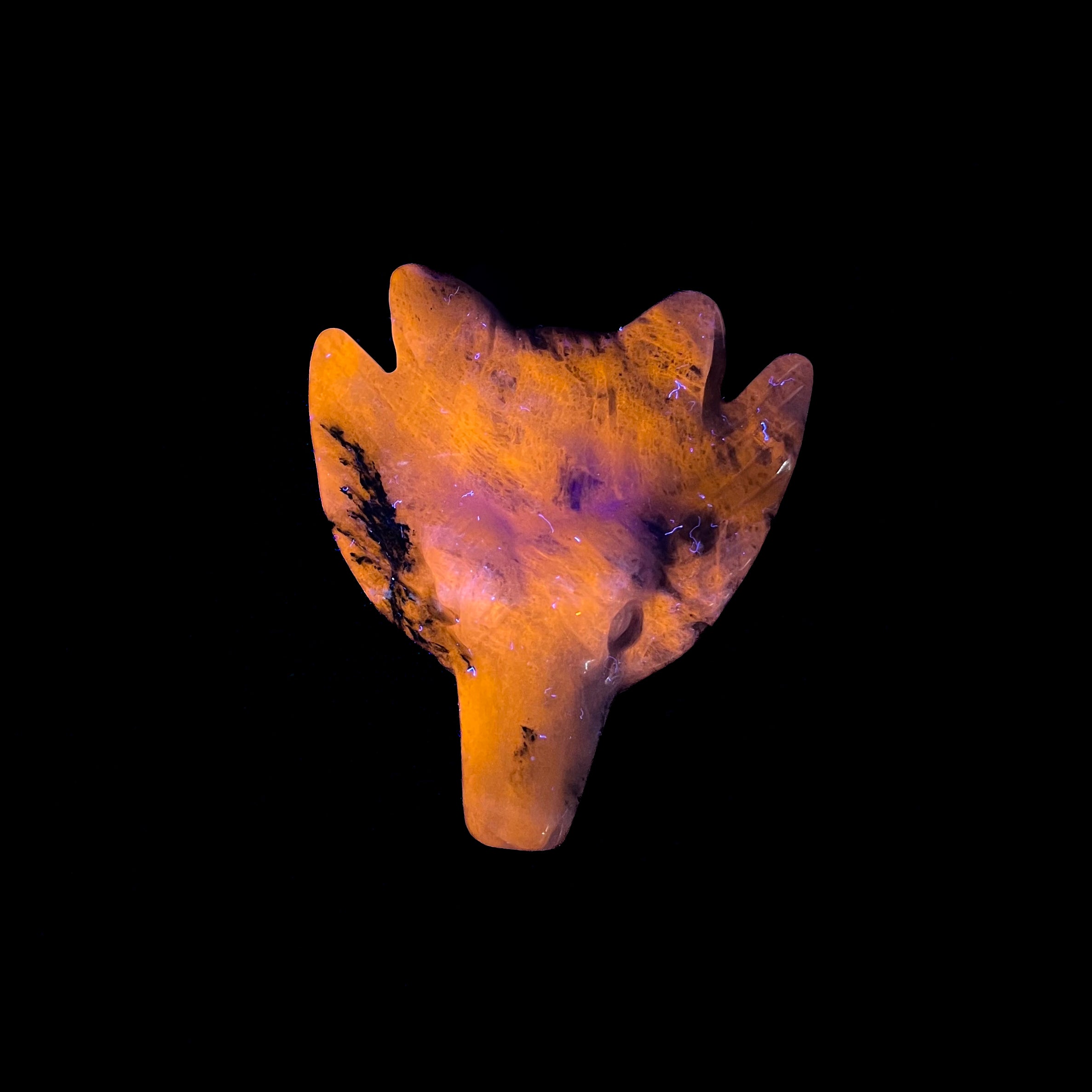 Porcelain Sodalite Wolf