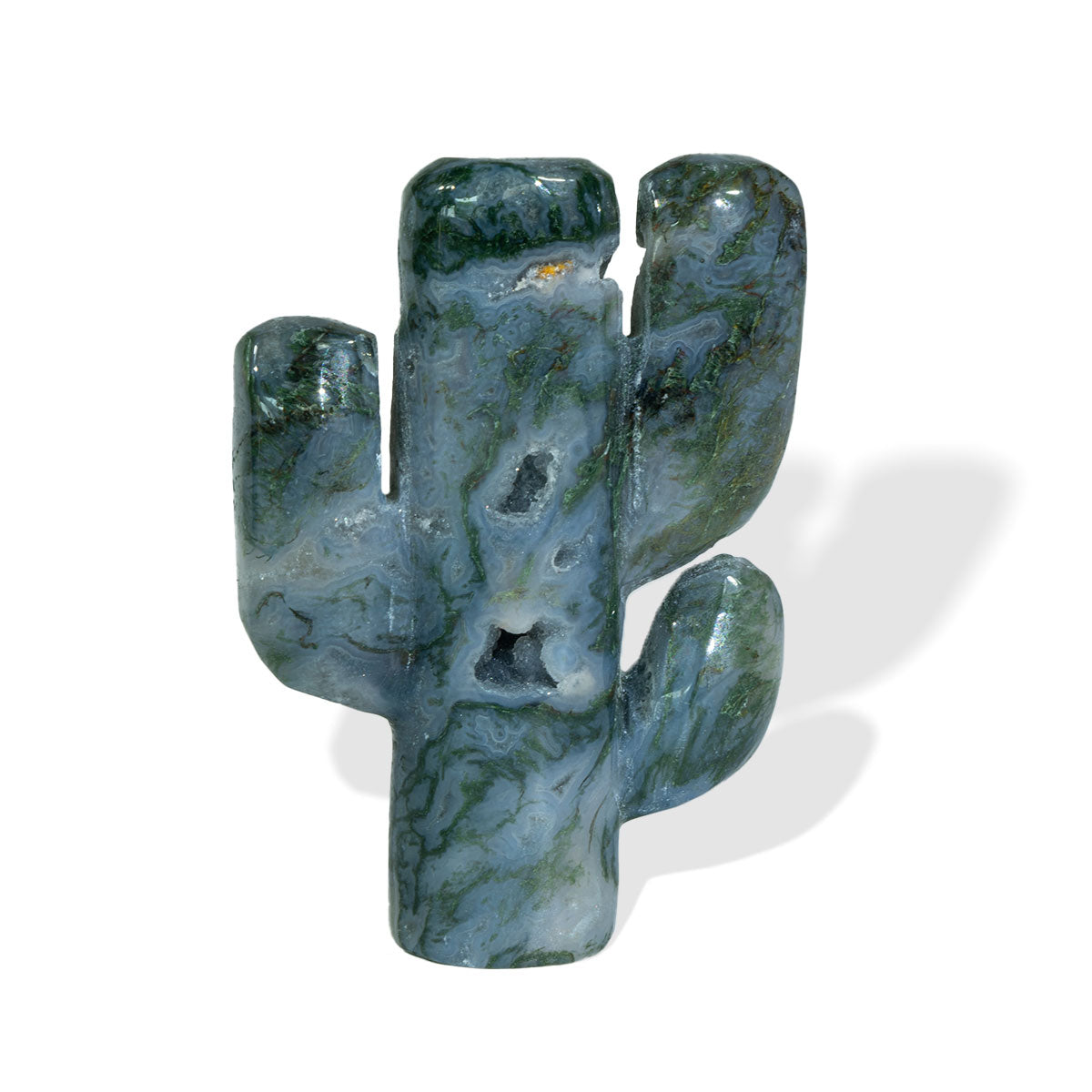 Cactus de dos ramas de 2 pulgadas a granel