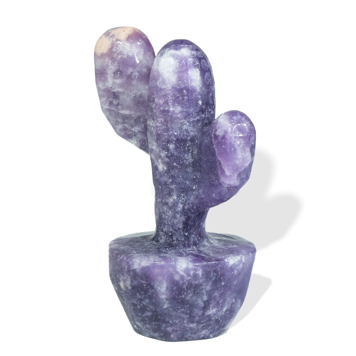 Cactus de dos ramas de 2,2 pulgadas a granel