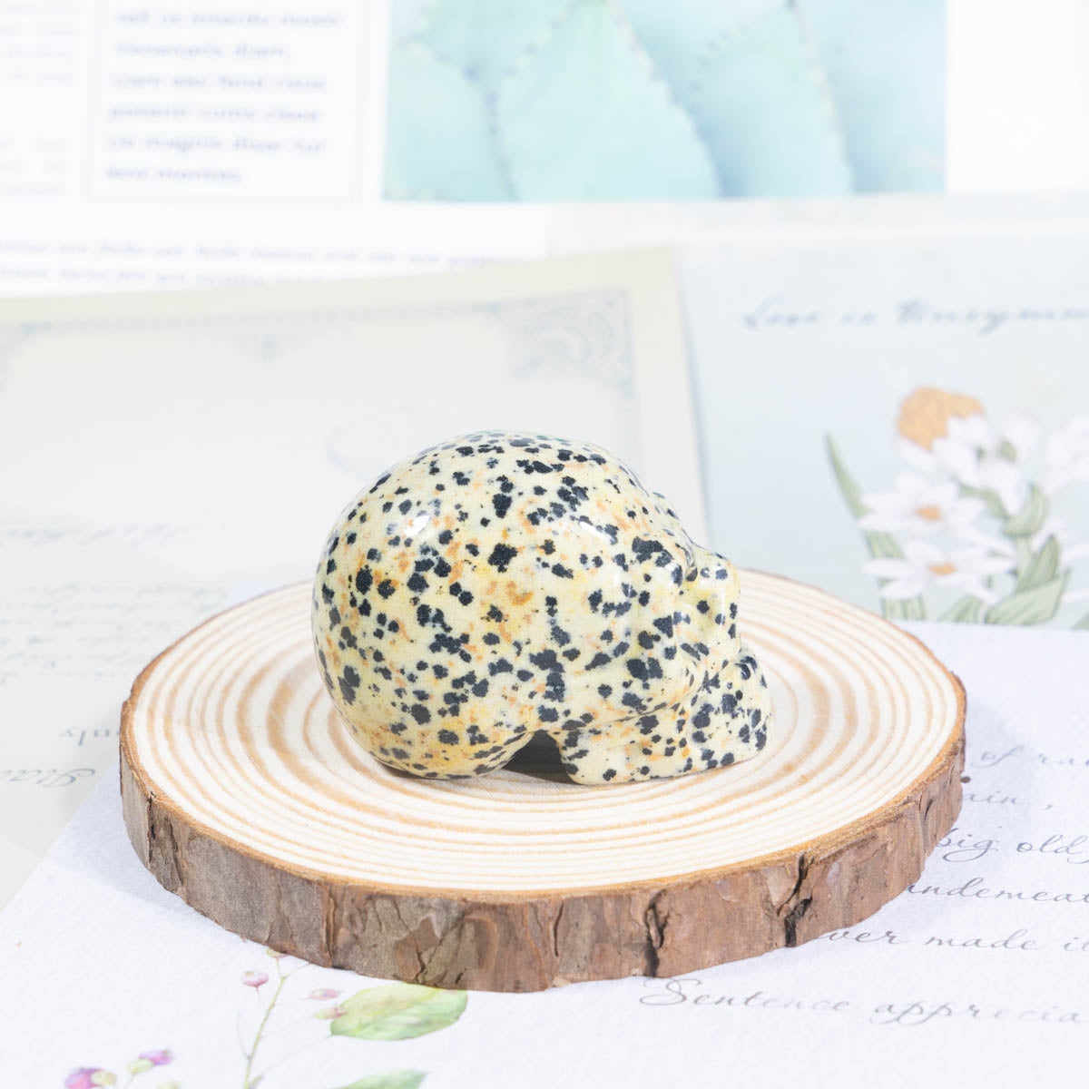 2-Inch Dalmatian Jasper Skull In Bulk