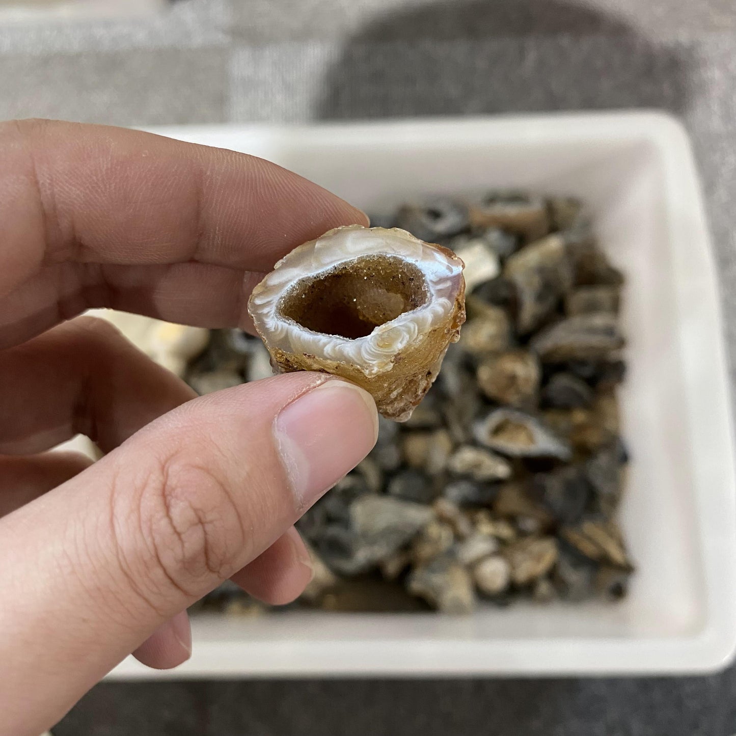 Agate Geode In Bulk
