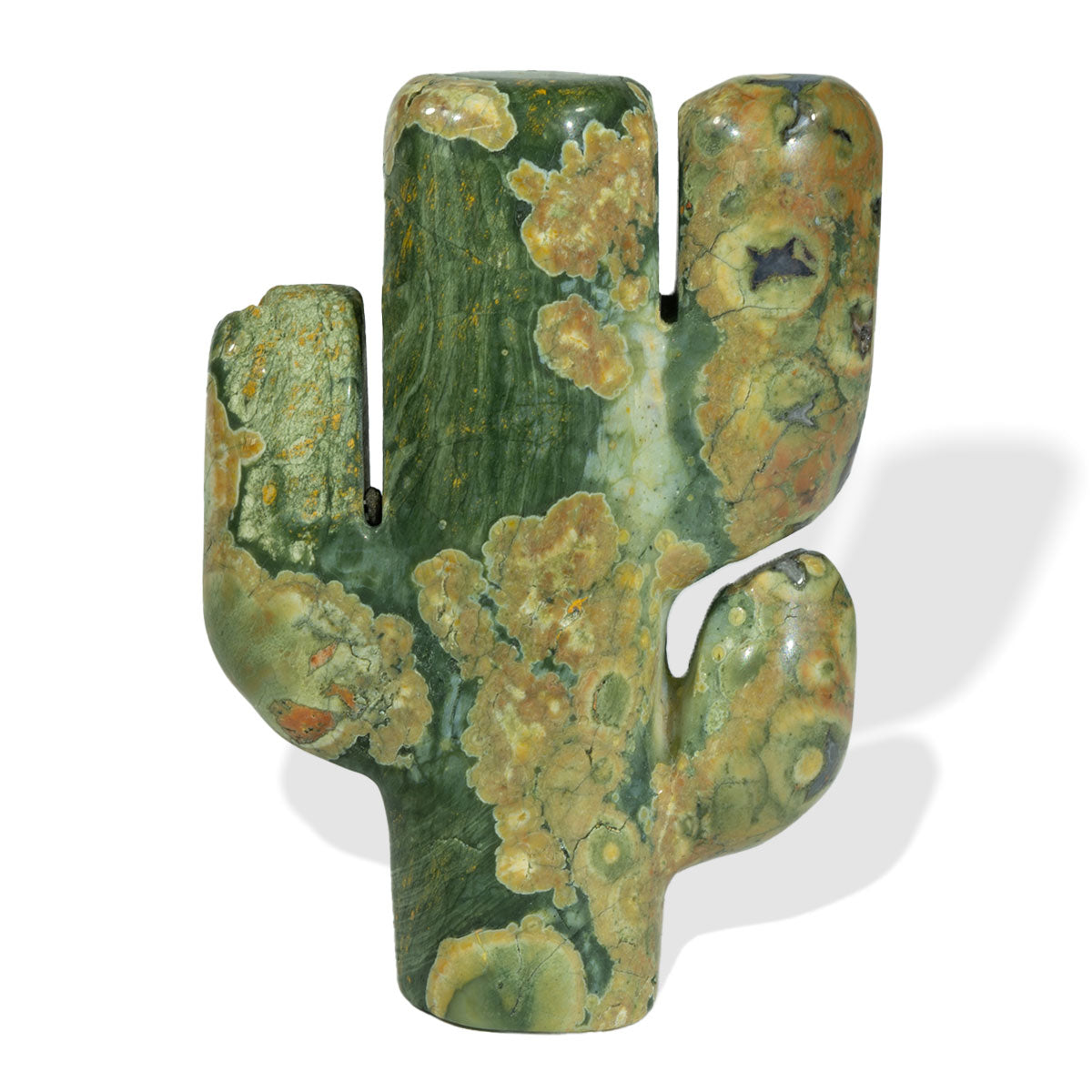 Cactus de tres ramas de 2,7 pulgadas a granel