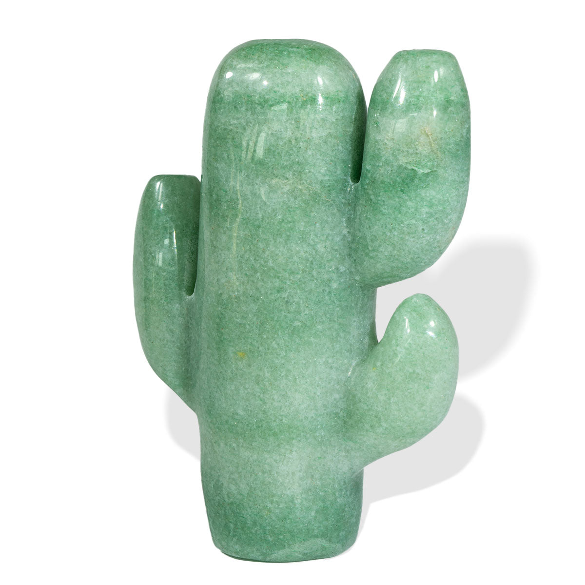Cactus de tres ramas de 2,7 pulgadas a granel