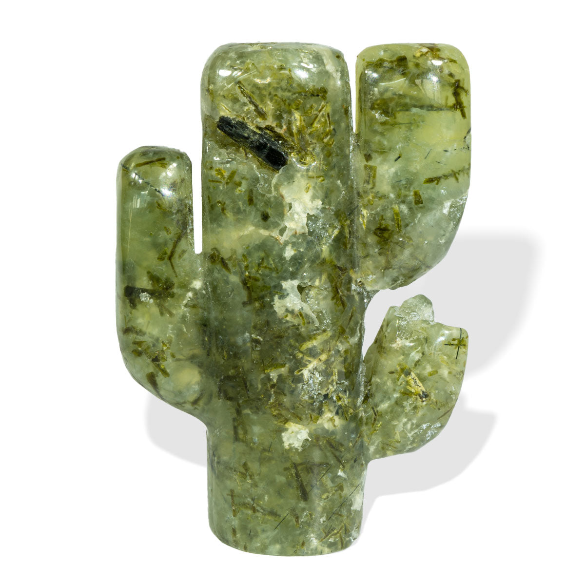 Cactus de tres ramas de 2,7 pulgadas a granel