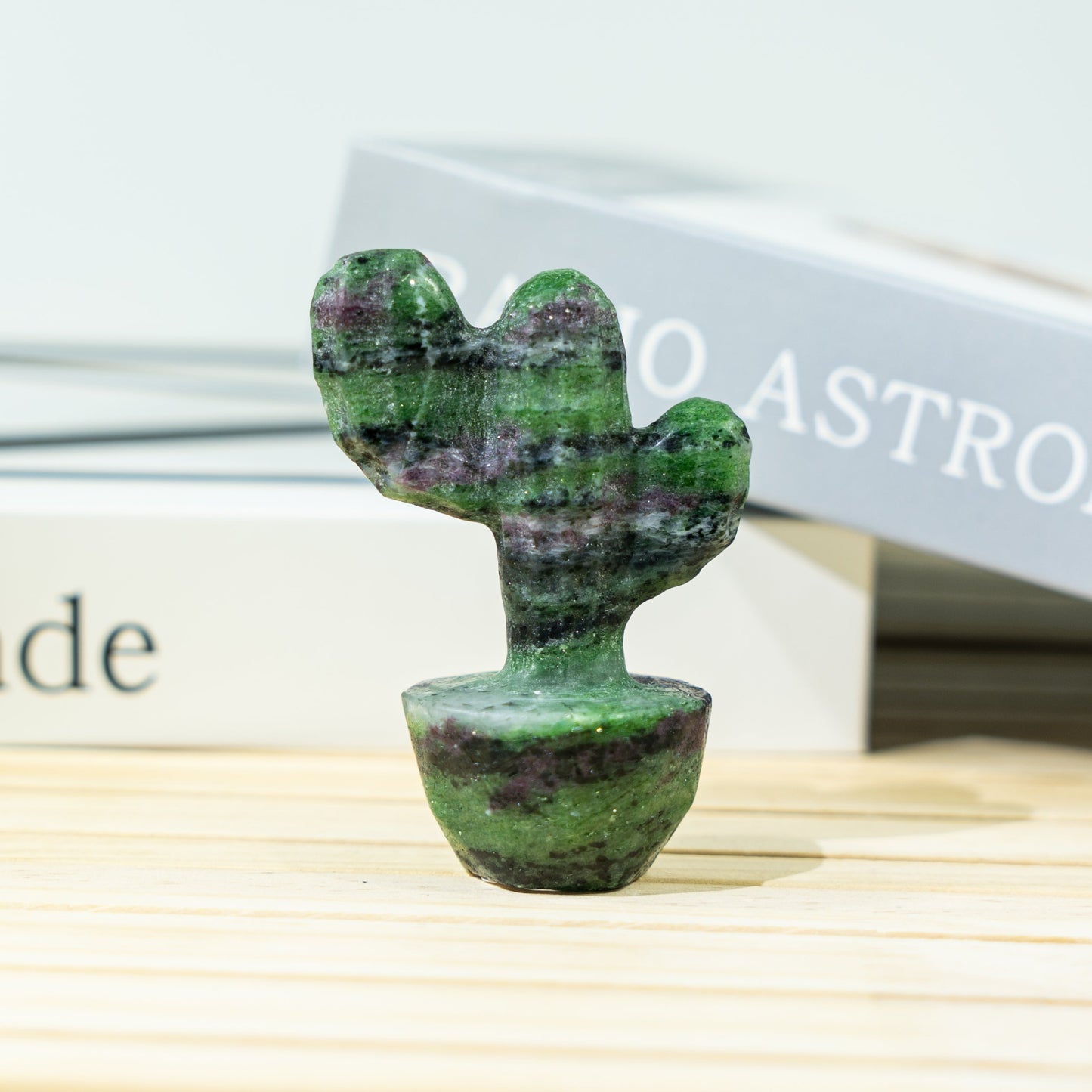 Cactus de dos ramas de 2,2 pulgadas a granel