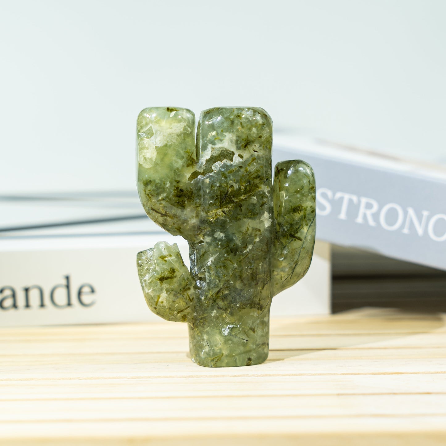 Cactus de tres ramas de 2,7 pulgadas a granel