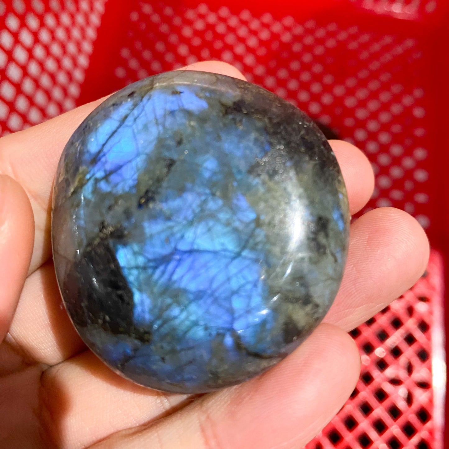 Labradorite Palm Stone In Bulk