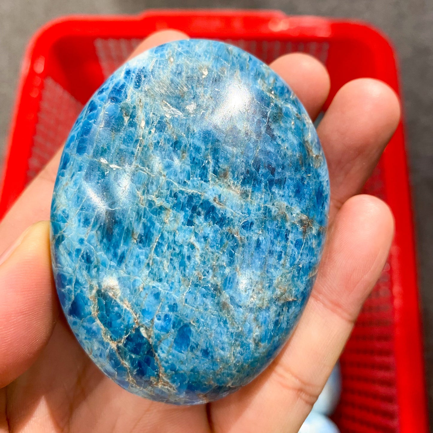 Blue Apatite Palm Stone In Bulk
