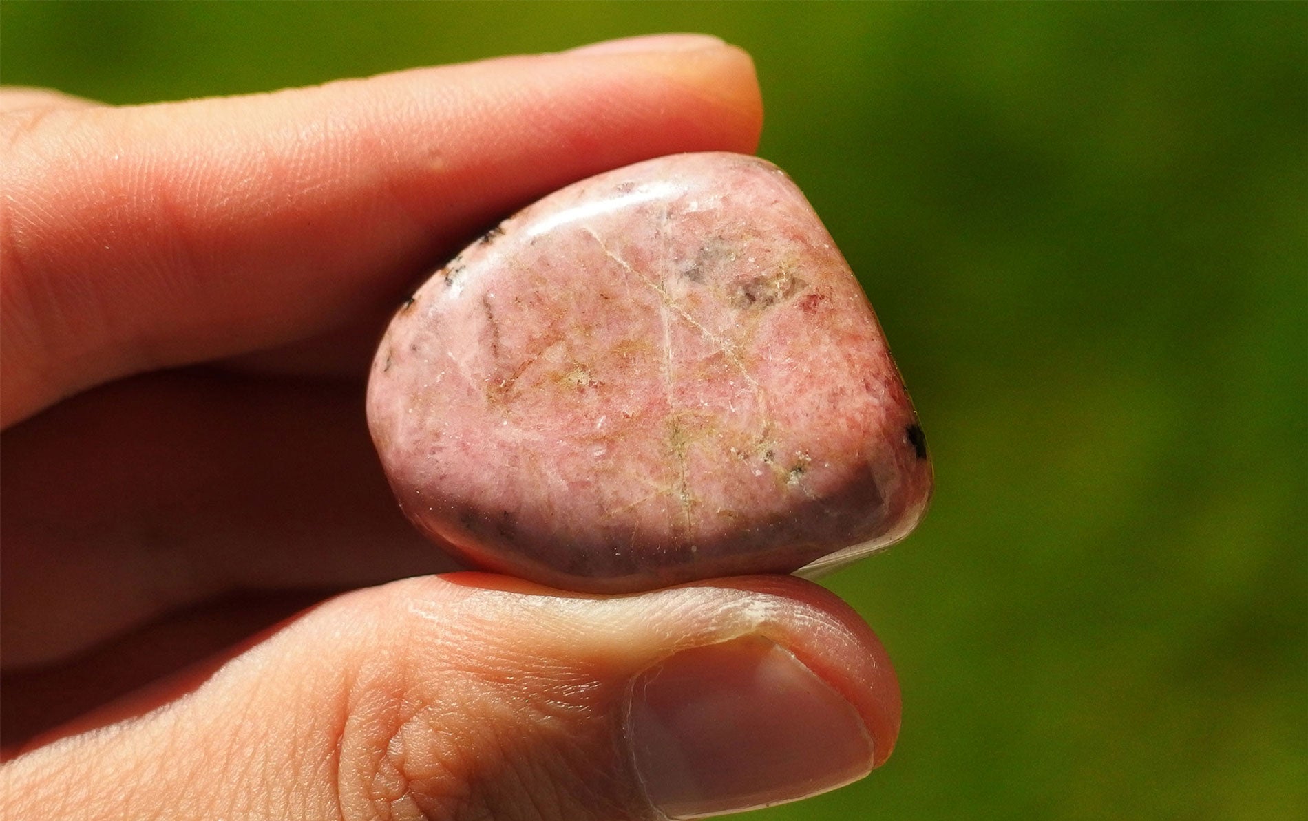 A polished Rhodonite gemstone with vibrant pink and black streaks