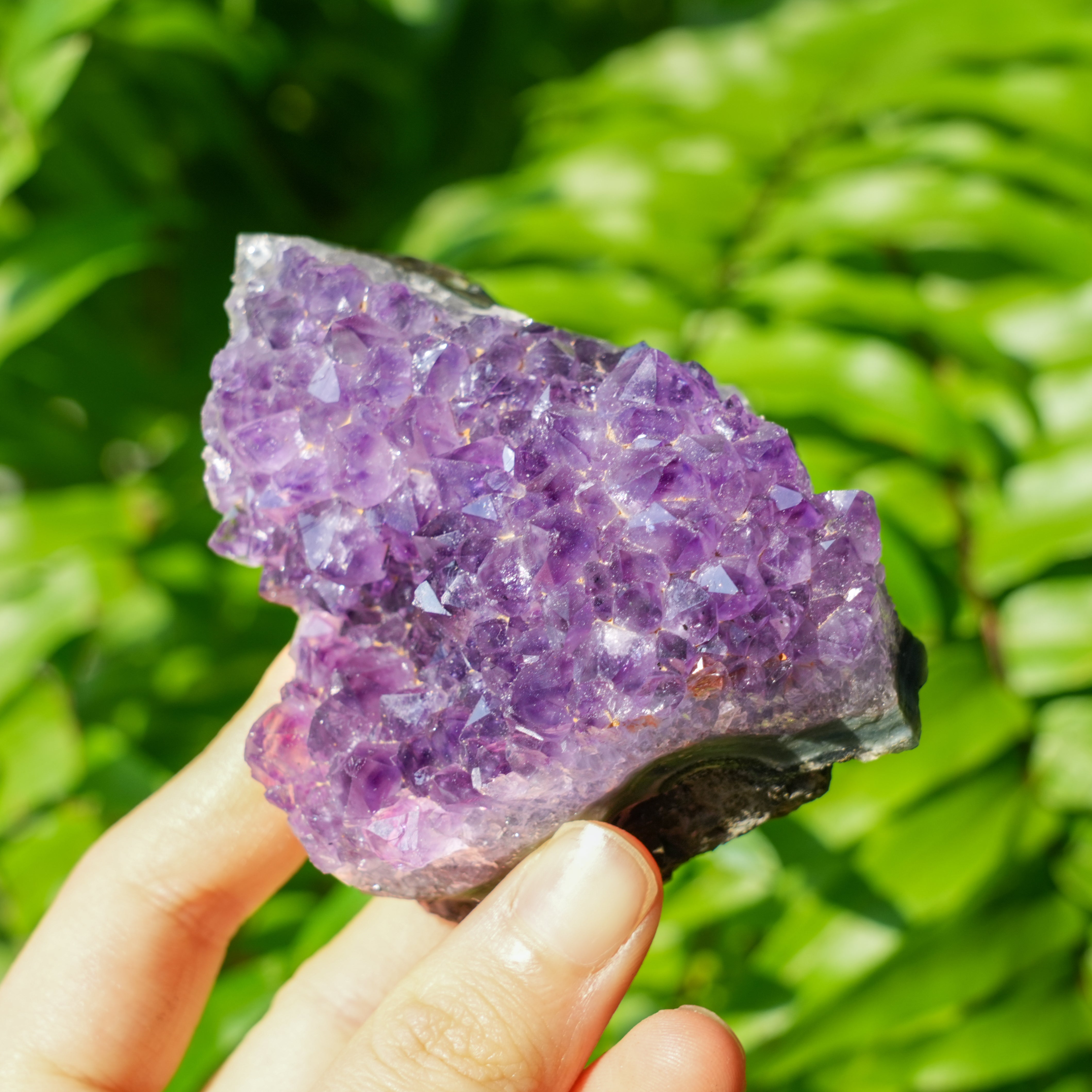 Amethyst Cluster