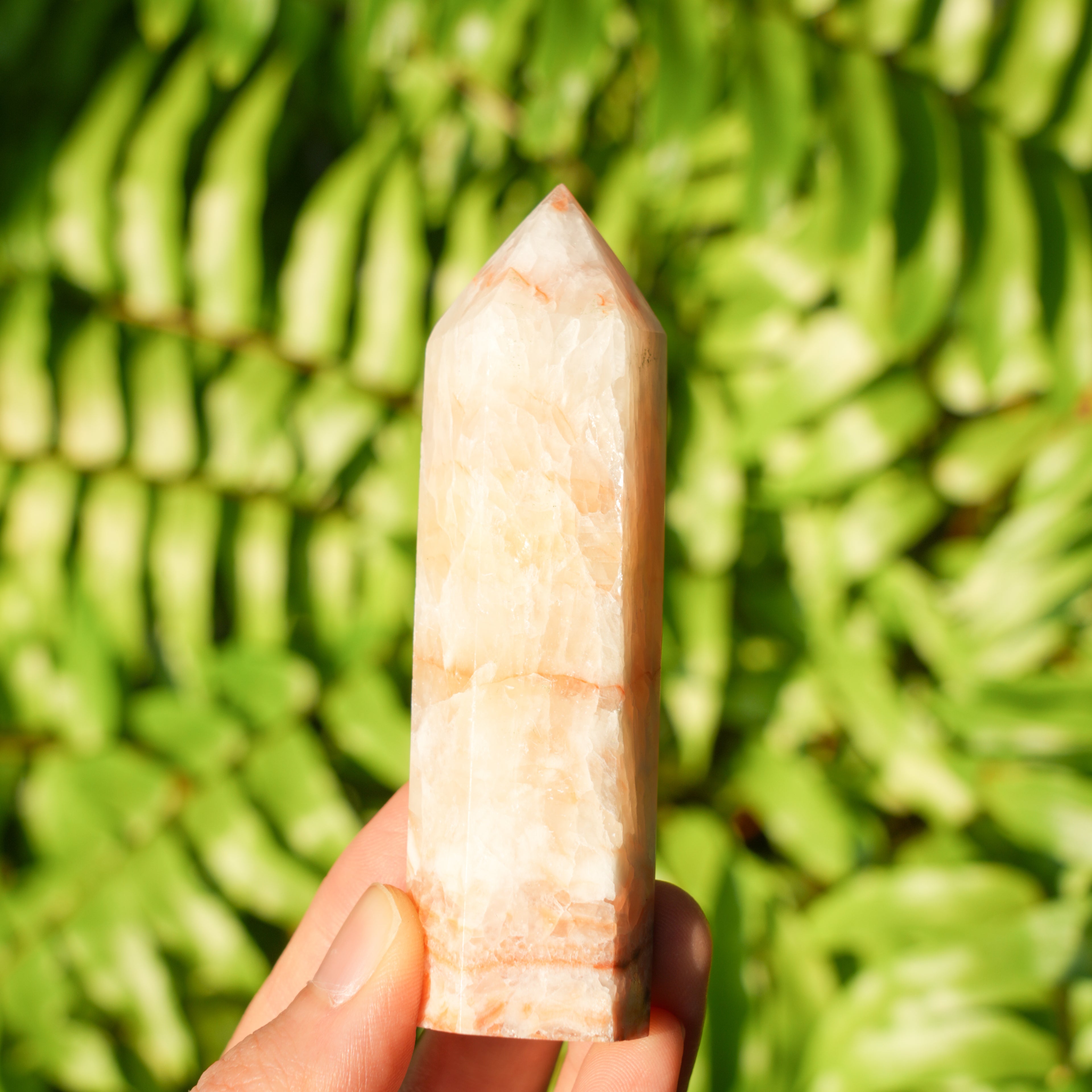 Pork Stone Point