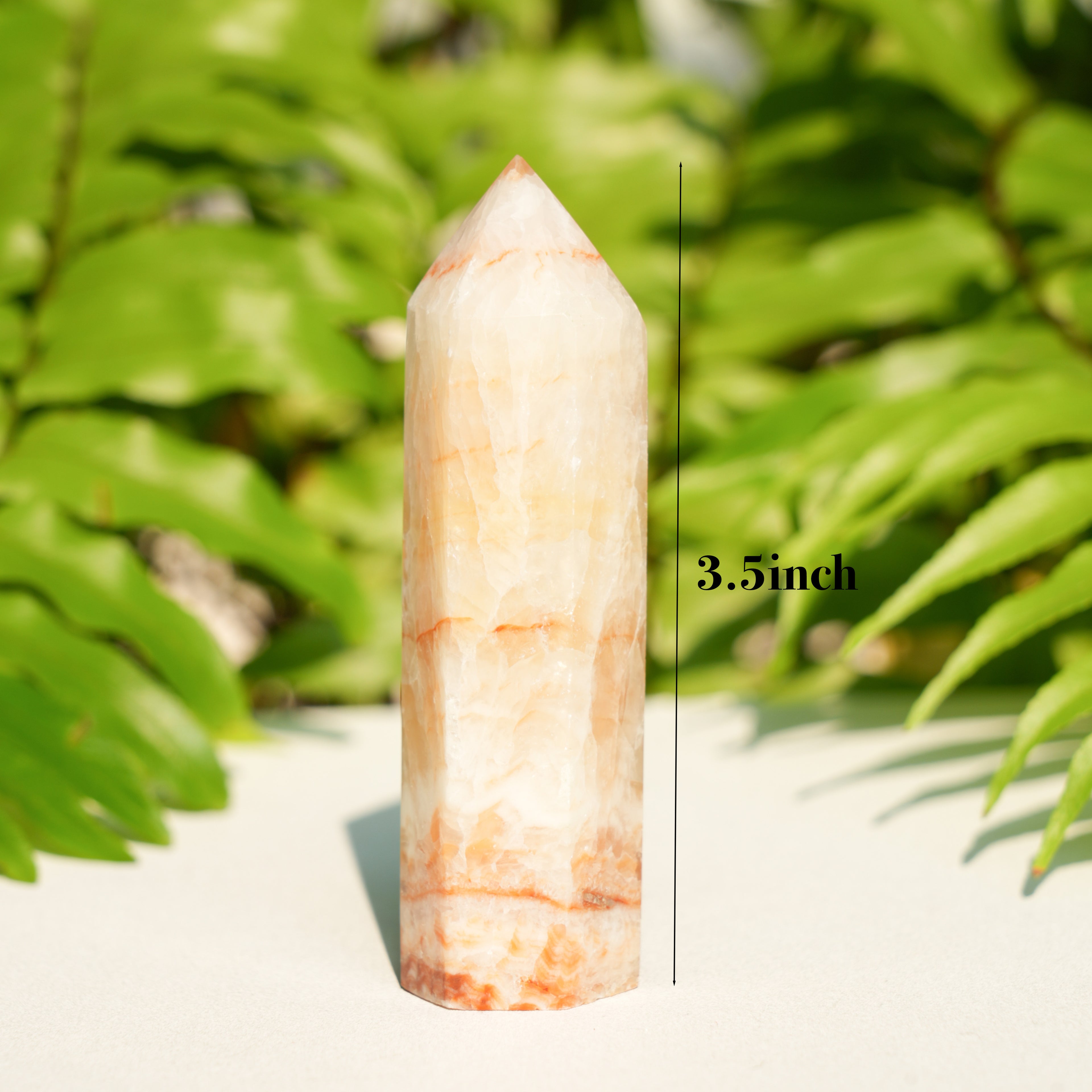 Pork Stone Point
