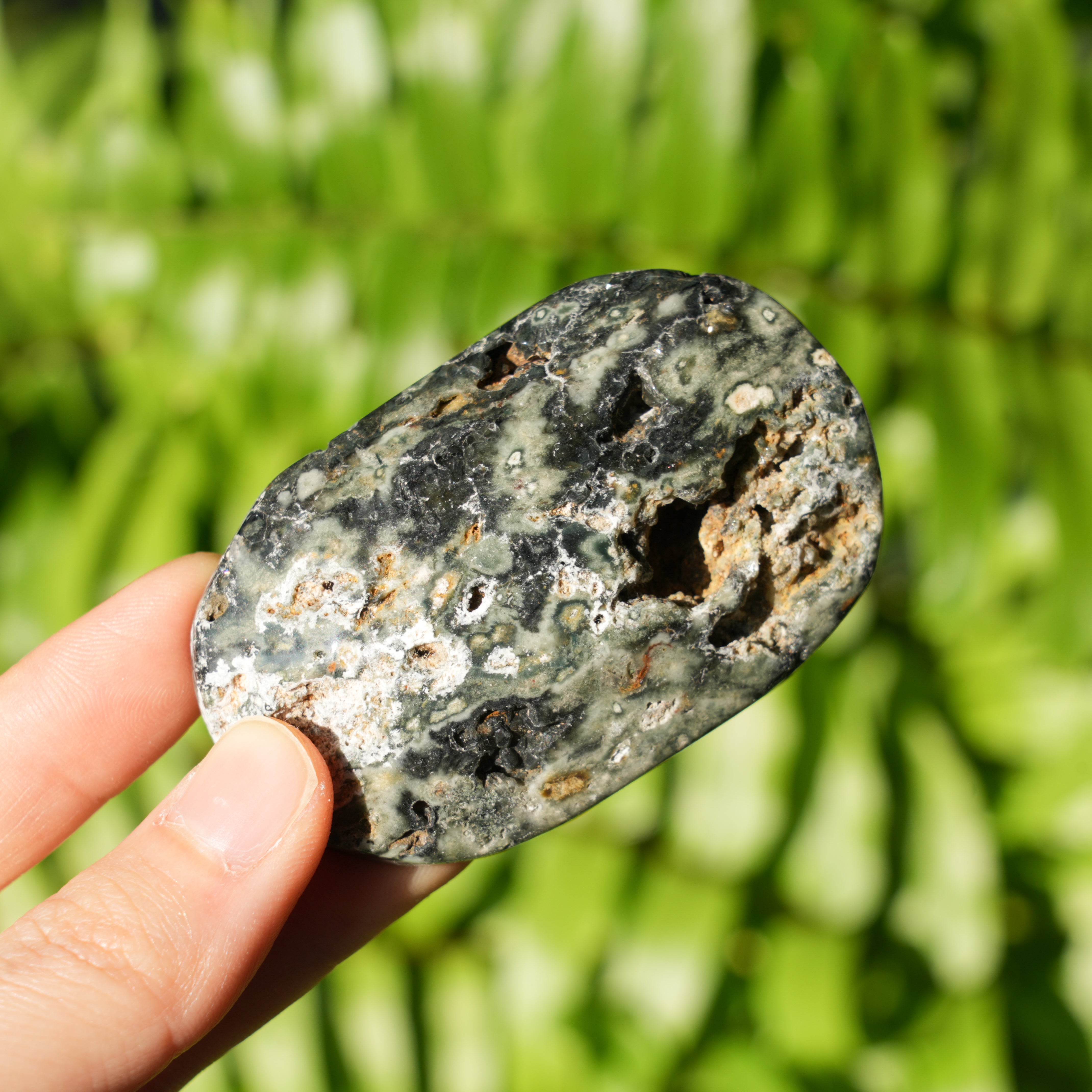 Ocean Jasper Palmstone