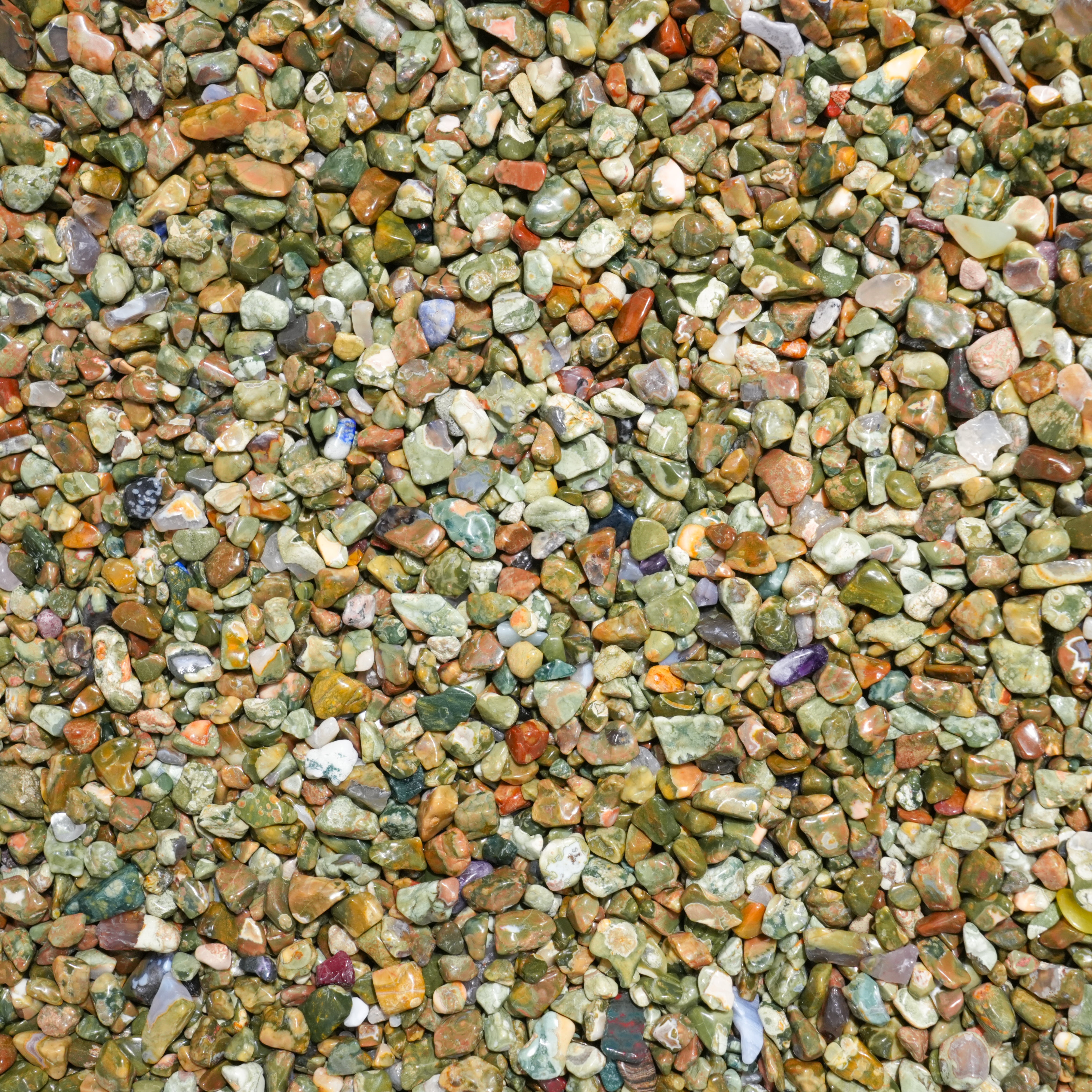 Rainforest Jasper Chips