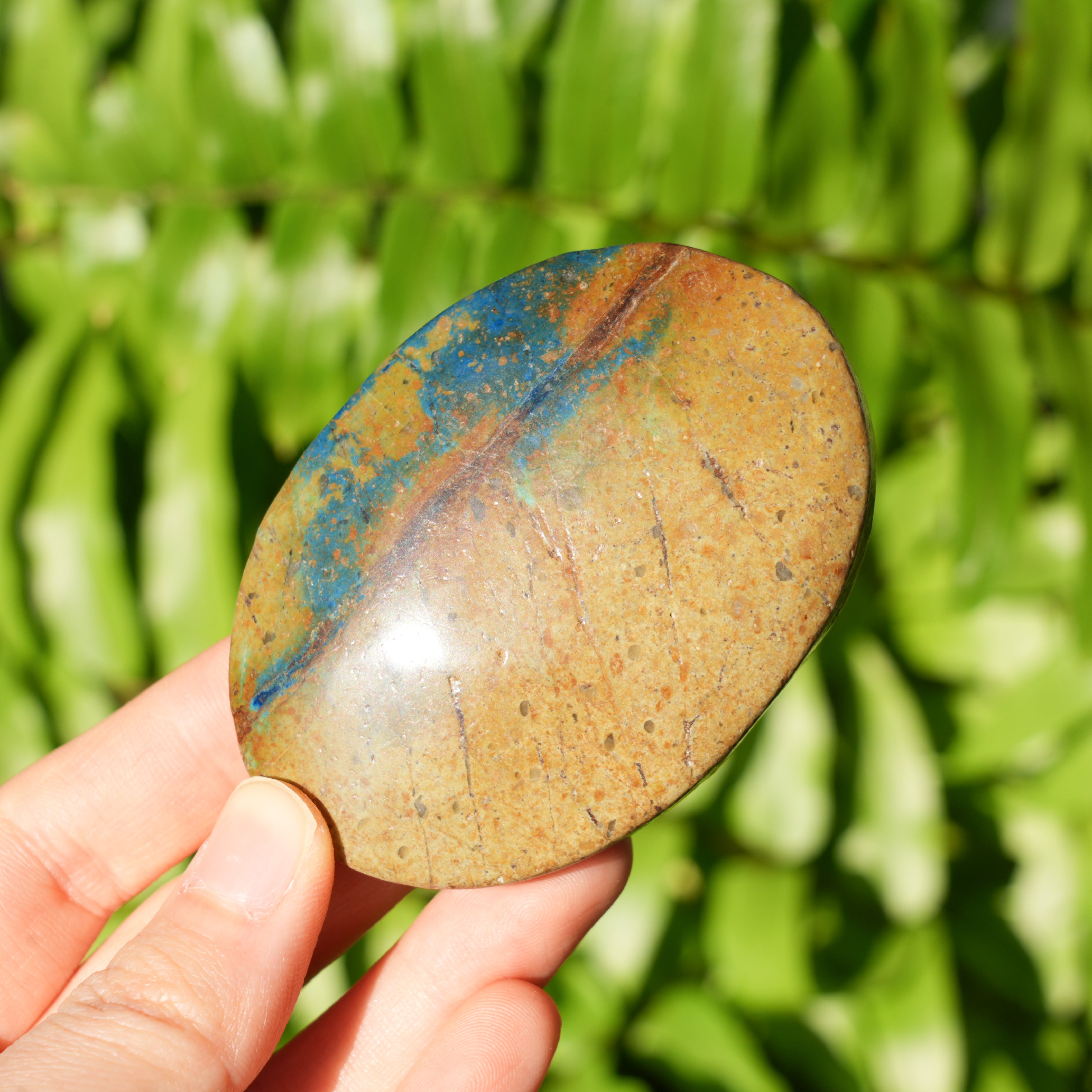 Chrysocolla Palmstone