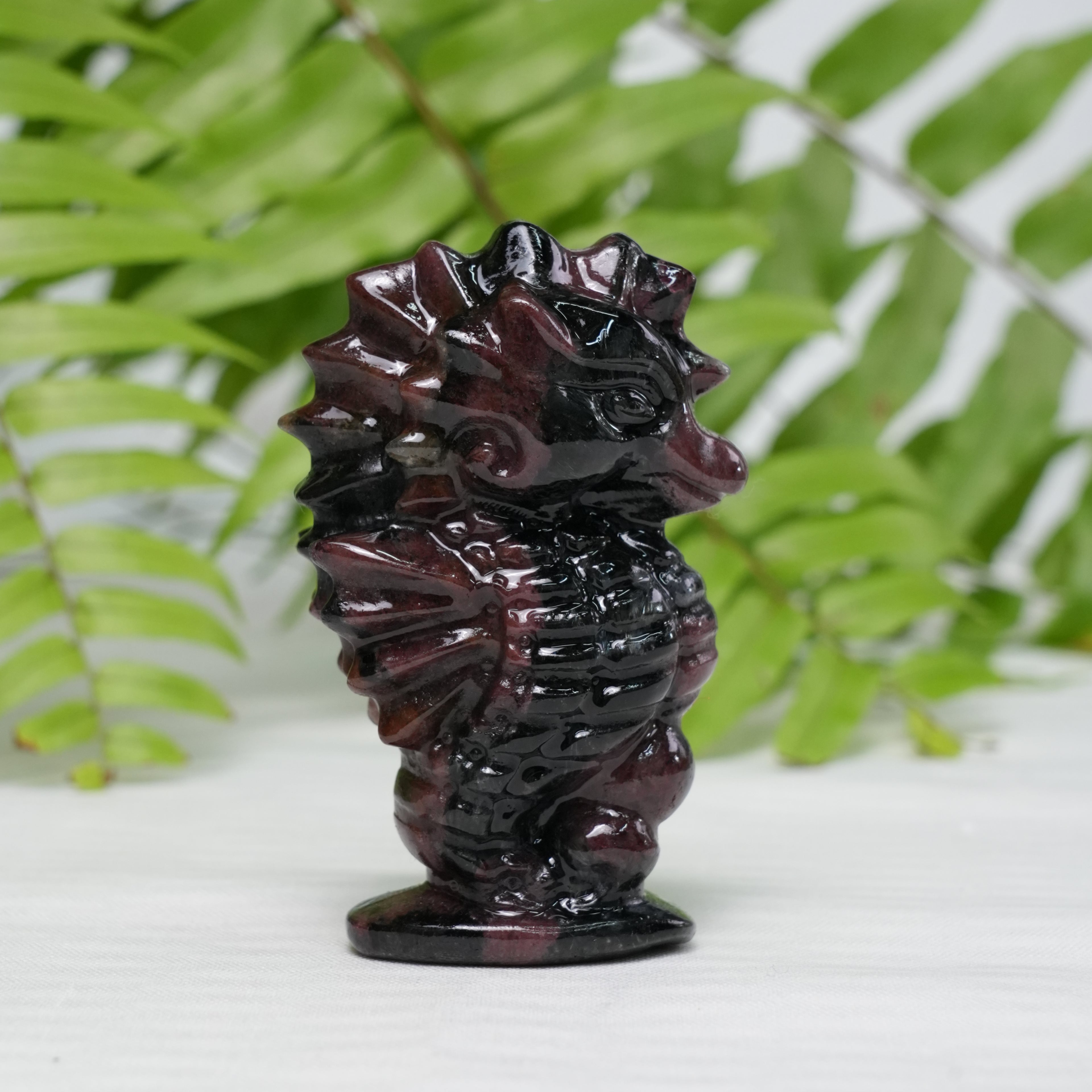 Mixed Seahorse
