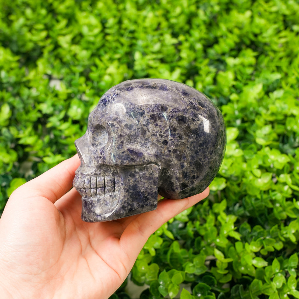 Hand-Carved Iolite Skull Statue Large Natural Gemstone Human Skull Carving, Healing Crystal Sculpture for Meditation, Gothic Home Decor, Reiki Stone for Intuition & Vision