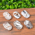 Druzy Sphalerite Palm Stone | Polished Healing Crystal Worry Stone for Grounding, Meditation & Stress Relief | Unique Mineral Pocket Specimen