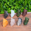 Hand-Carved Crystal Cat Skull Statue | Assorted Natural Gemstone Cat on Skull for Altar & Gothic Decor