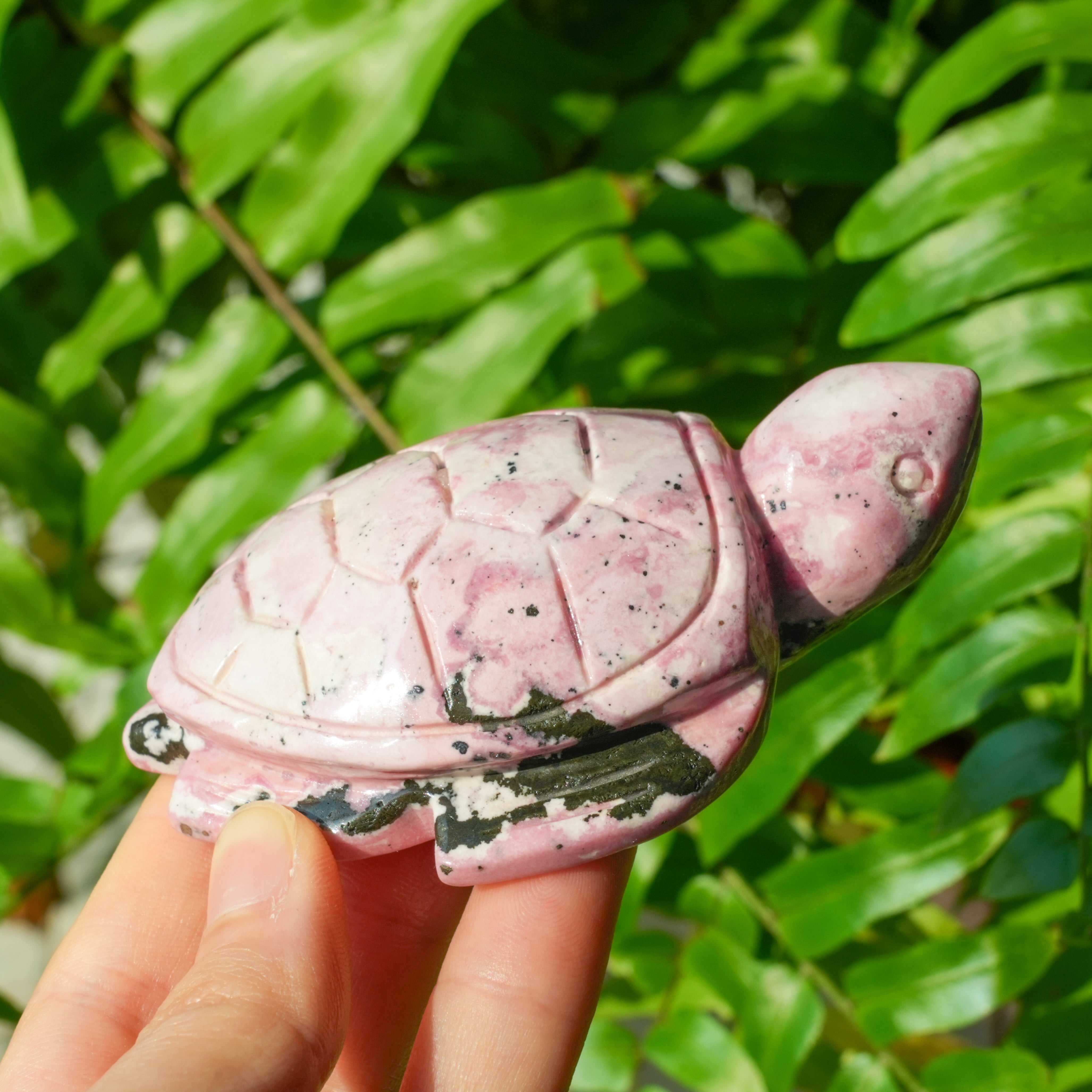 Peru Rhodonite Turtle