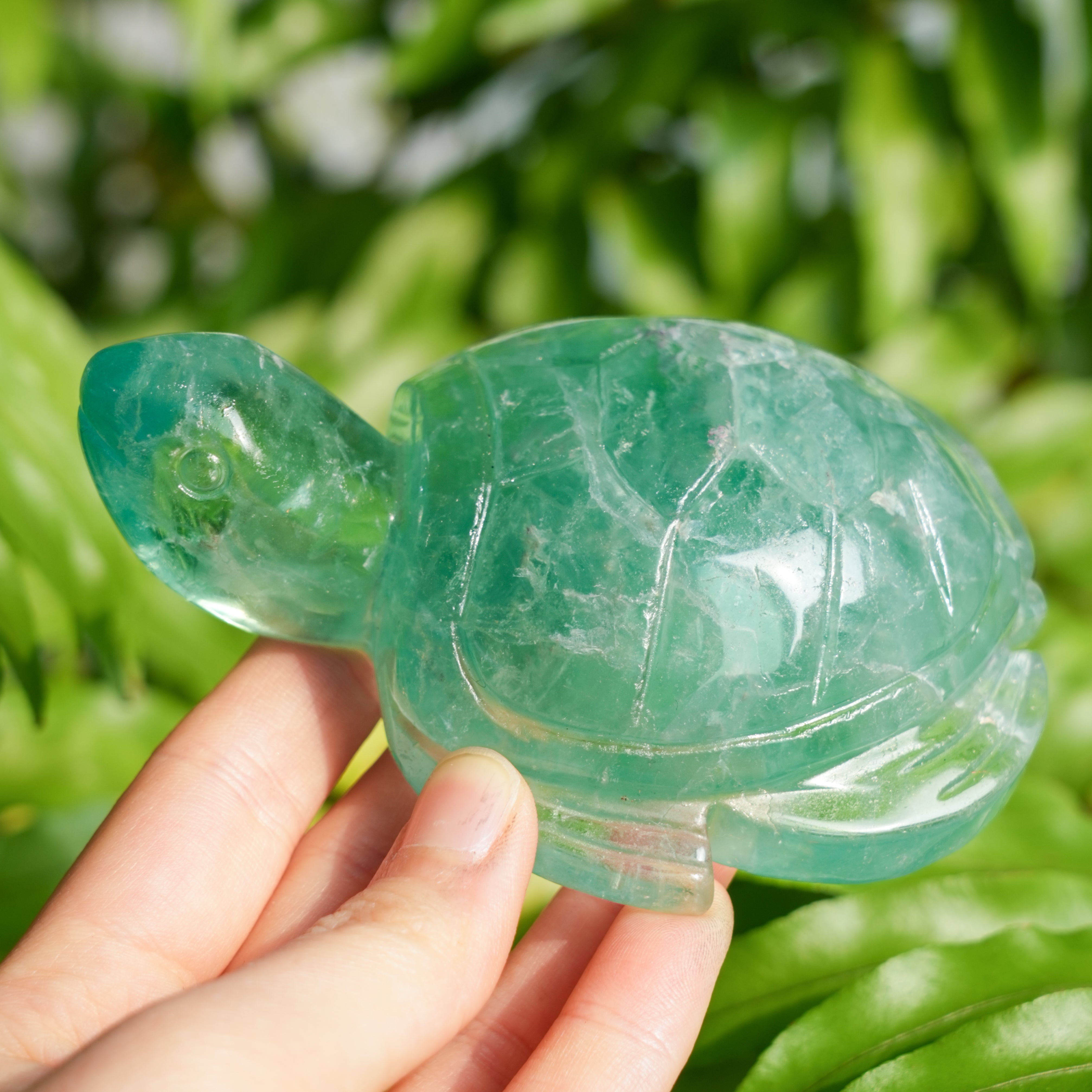Green Fluorite Turtle