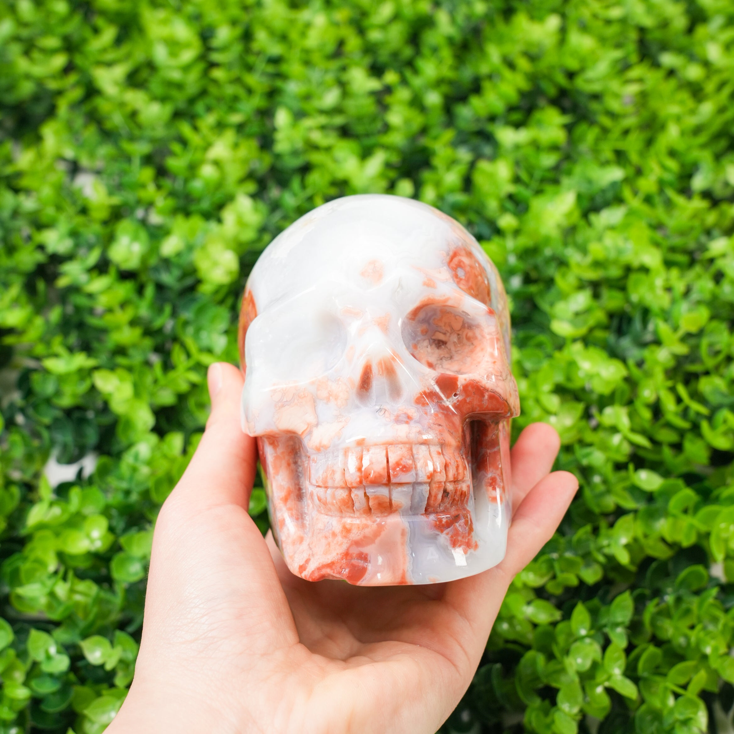 Hand-Carved Flower Agate Skull Large Natural Pink Flower Agate Crystal Sculpture, Healing Stone Skull for Feminine Energy, Aesthetic Home Decor, Unique Spiritual Gift