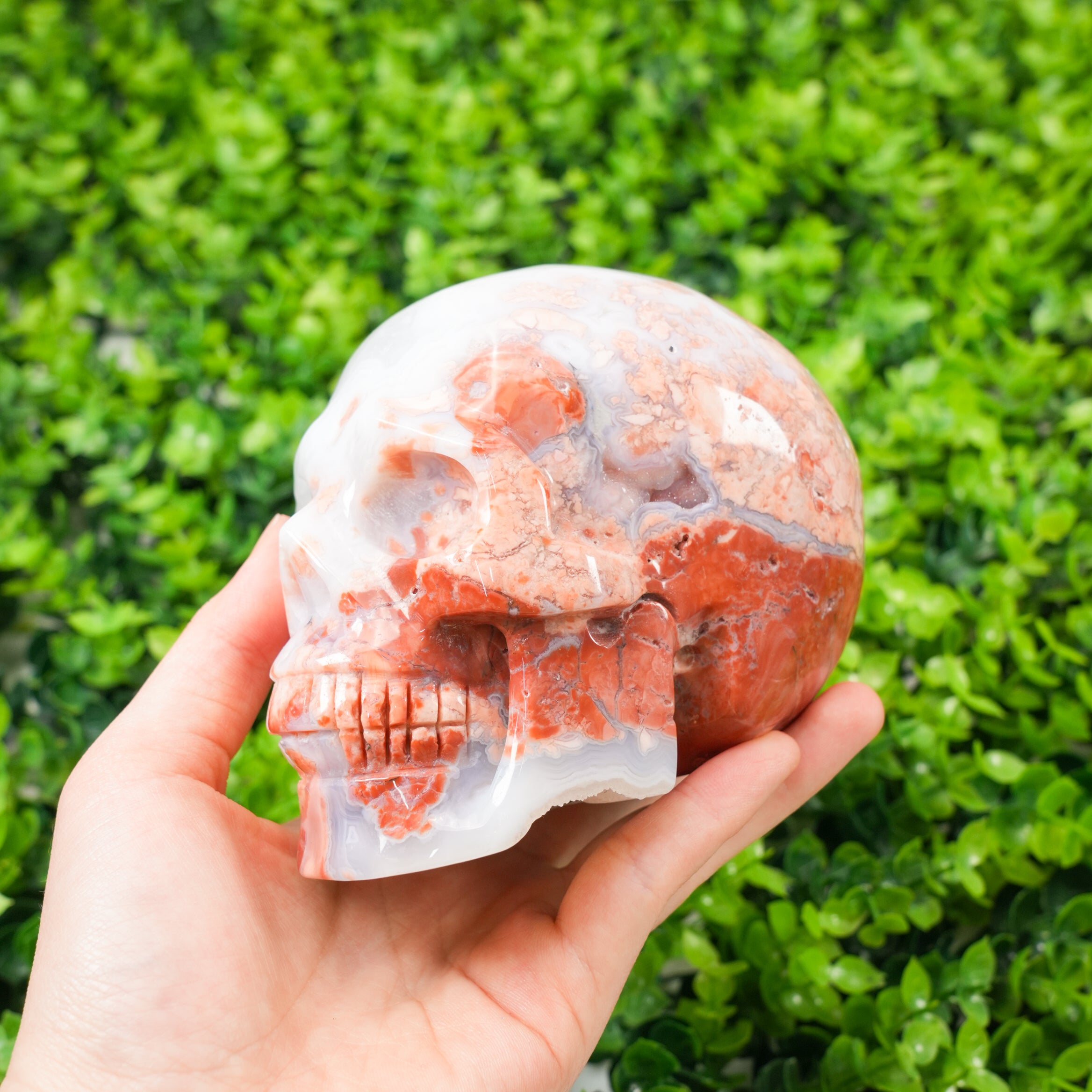 Hand-Carved Flower Agate Skull Large Natural Pink Flower Agate Crystal Sculpture, Healing Stone Skull for Feminine Energy, Aesthetic Home Decor, Unique Spiritual Gift
