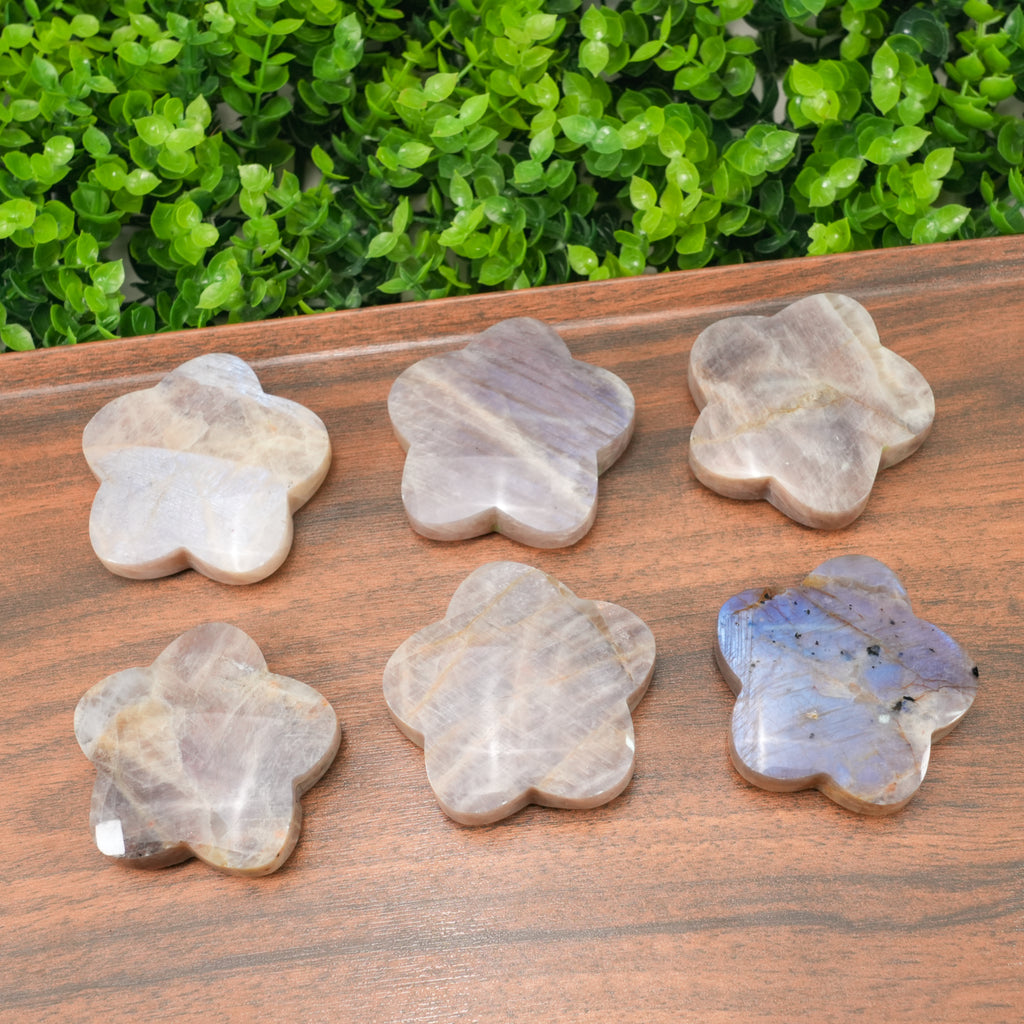 Natural Moonstone Flower Palm Stone | Blue Flash Moonstone Clover Carving for Meditation, Healing & Home Decor