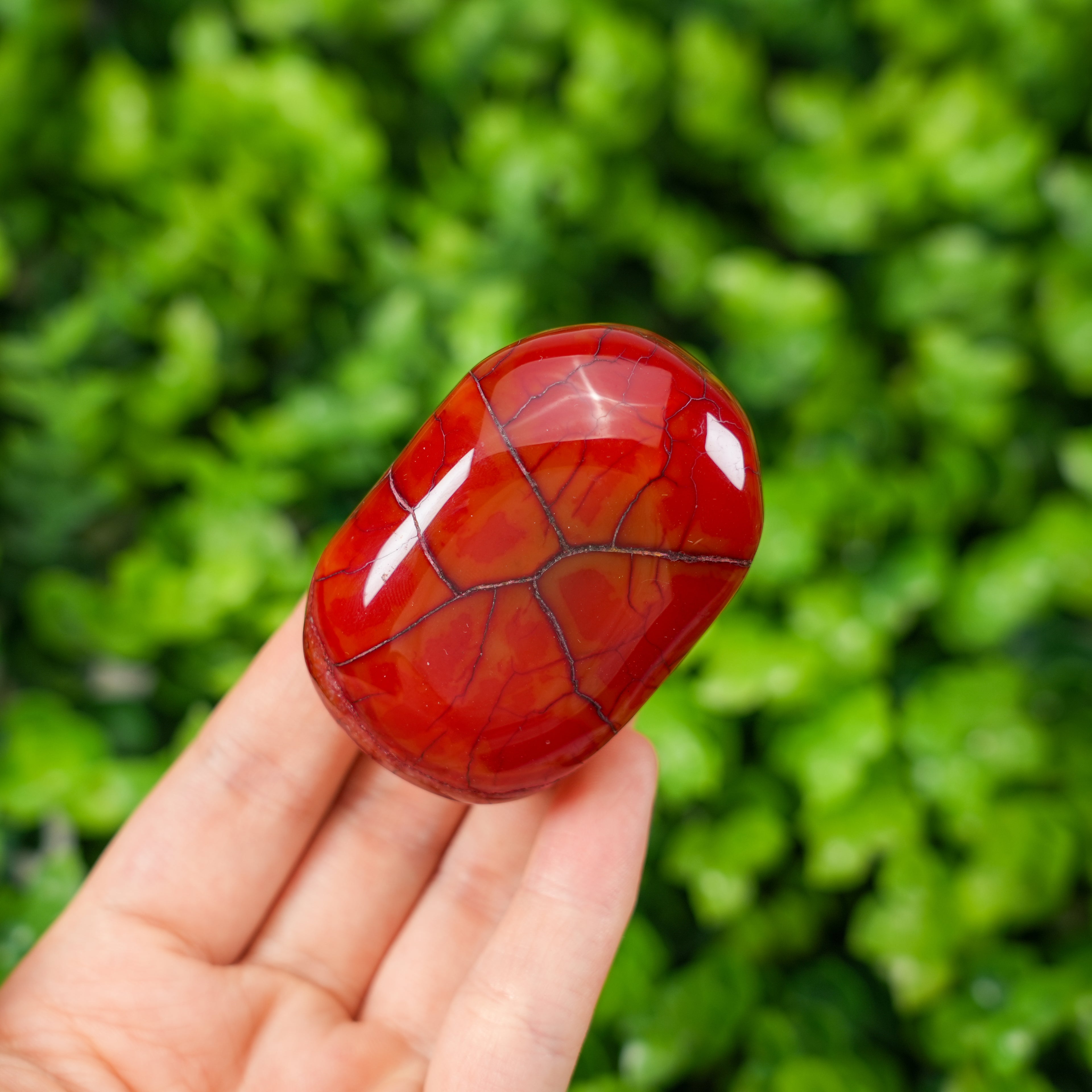 Colorful Dragon Vein Agate Tumbled Palm Stones, Polished Healing Gemstones for Pocket & Altar