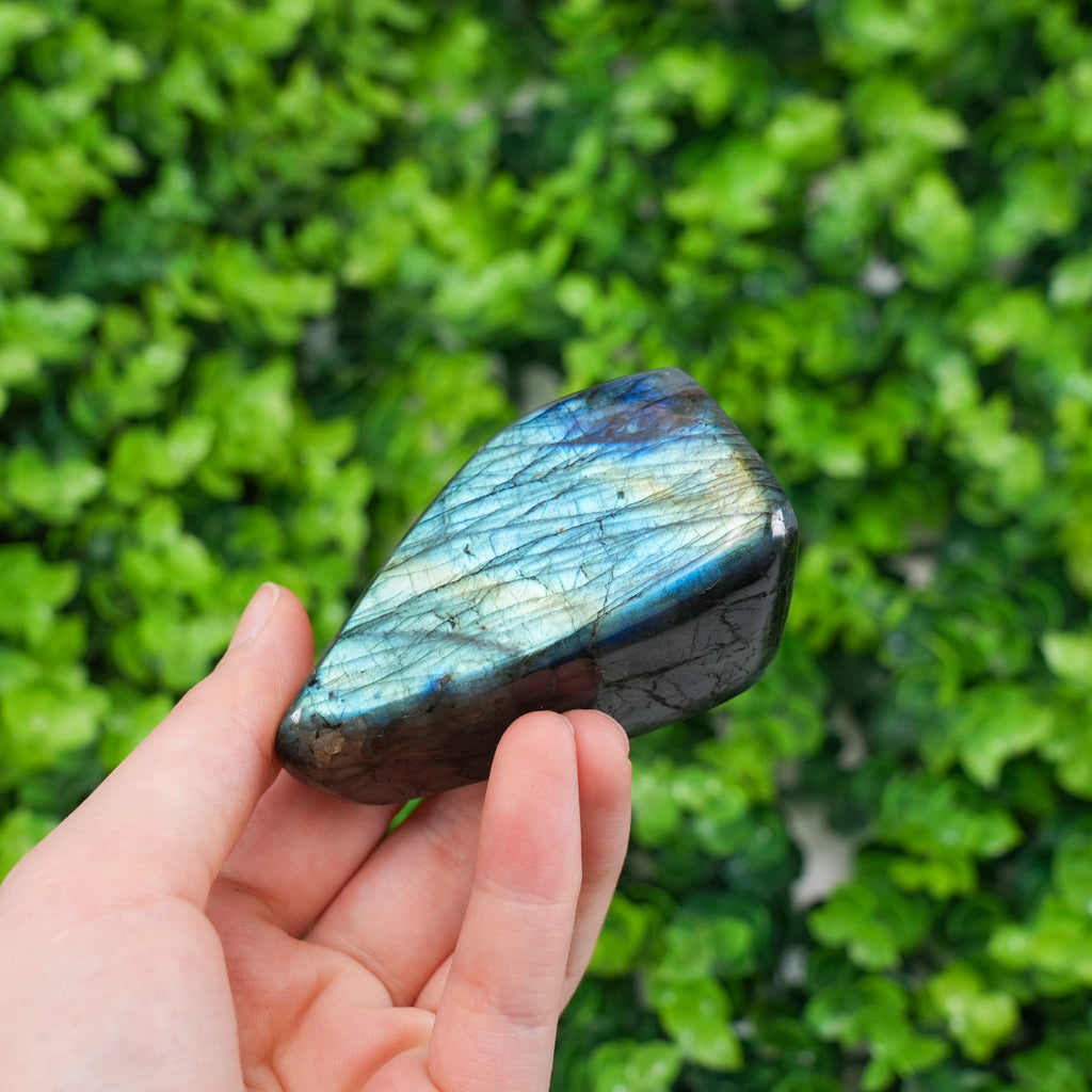 Natural Labradorite Freeform Large Polished Flashy Spectrolite Stone, High-Flash Healing Crystal for Intuition & Magic, Unique Gemstone Decor for Office, Meditation & Reik